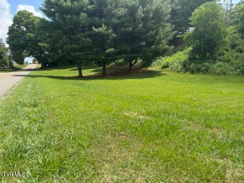 19004 Cleveland Road Abingdon, VA 24211 - Photo 6 of 57 IMG_2914 (1)