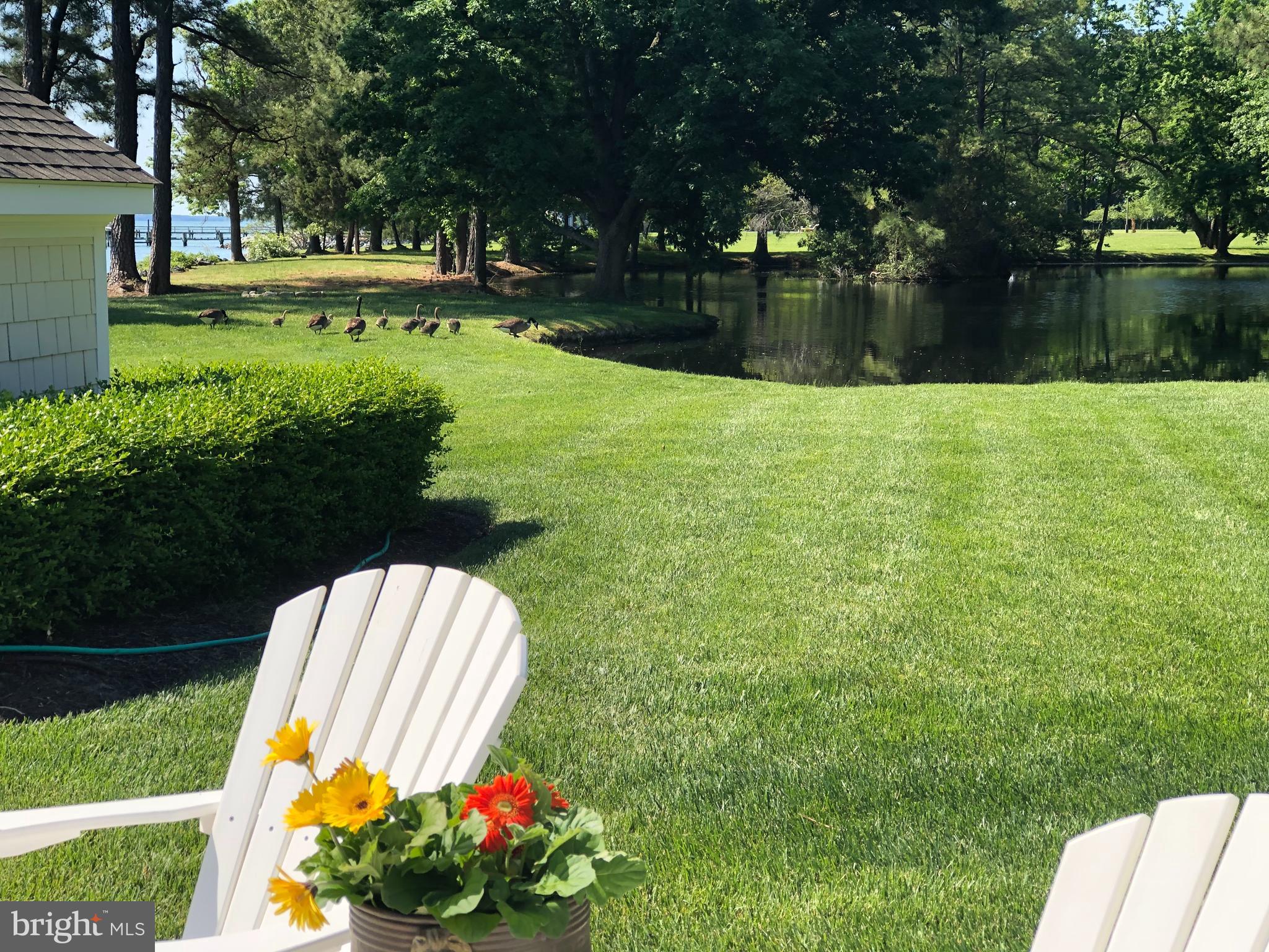 5911 Elston Shore Road Neavitt, MD 21652 - Photo 41 of 43 Gallery Image 41