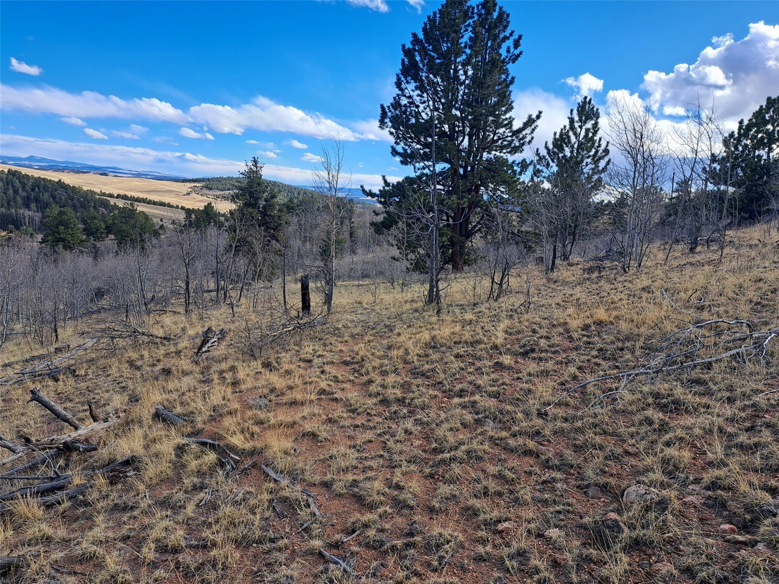 908 Raven Way Como, CO 80432 - Photo 7 of 29