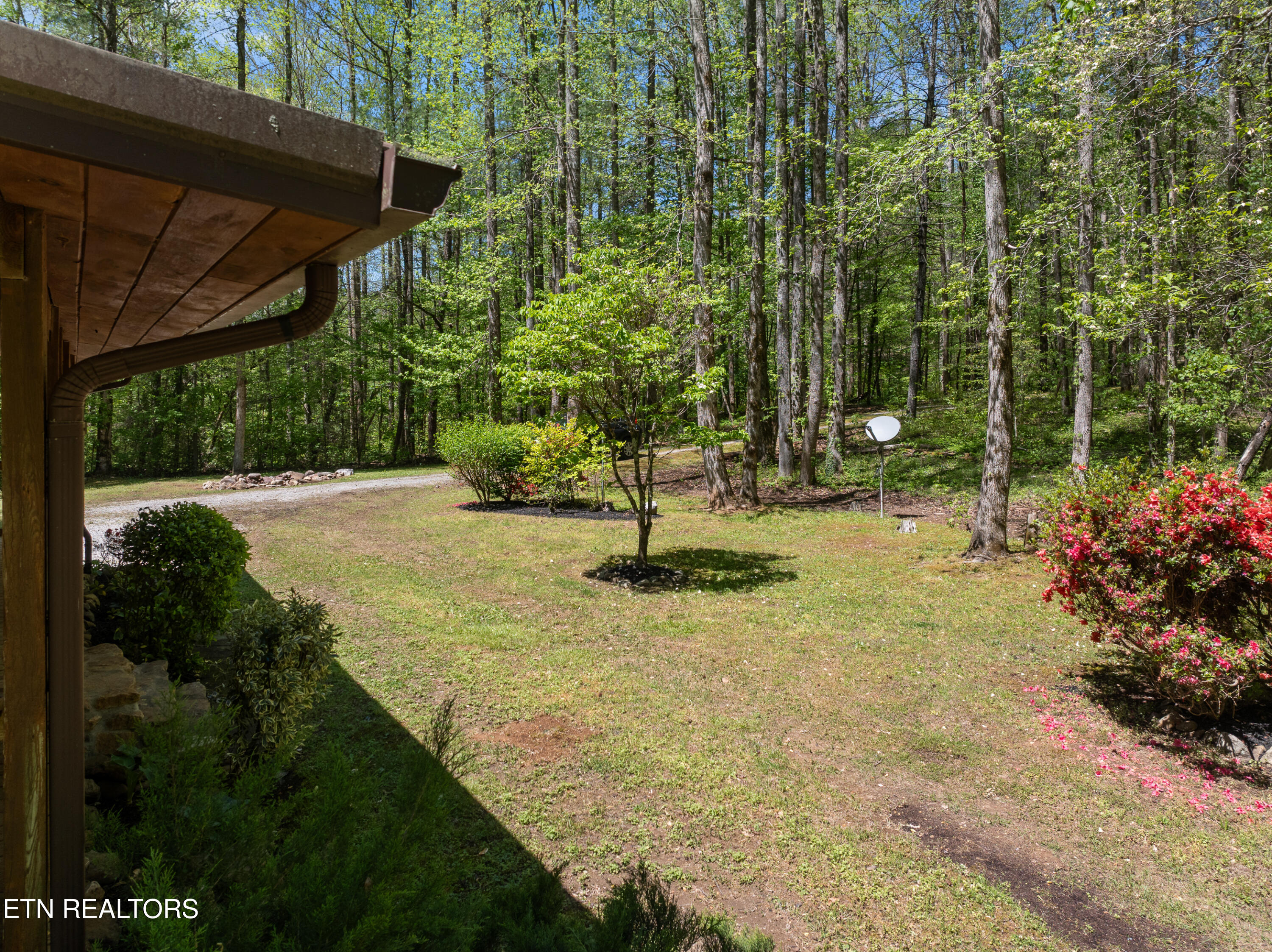 1256 East Millers Cove Road Walland, TN 37886 - Photo 12 of 43 DJI_0713