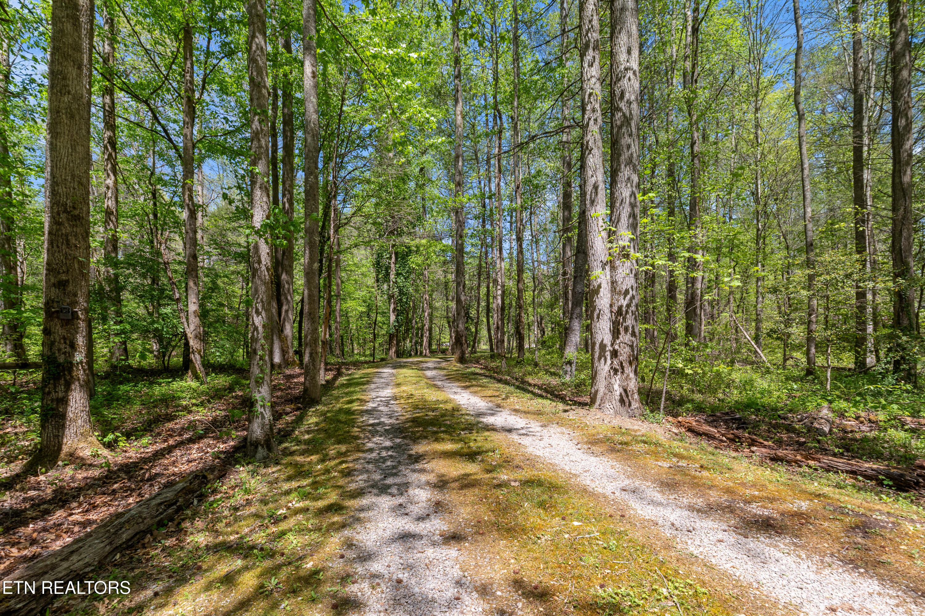 1256 East Millers Cove Road Walland, TN 37886 - Photo 22 of 43 DSC02090