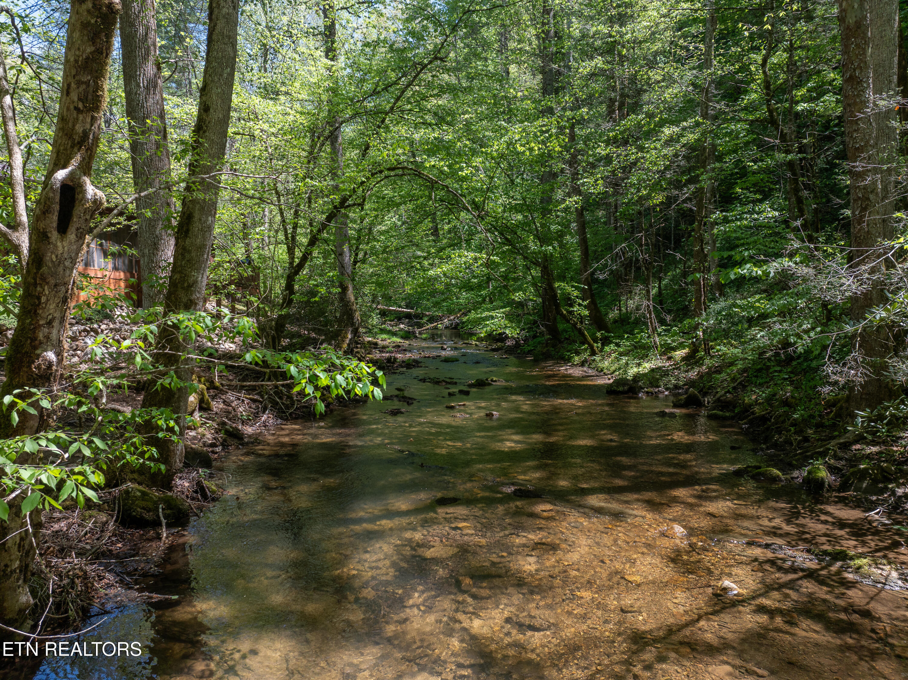 1256 East Millers Cove Road Walland, TN 37886 - Photo 4 of 43 DJI_0695