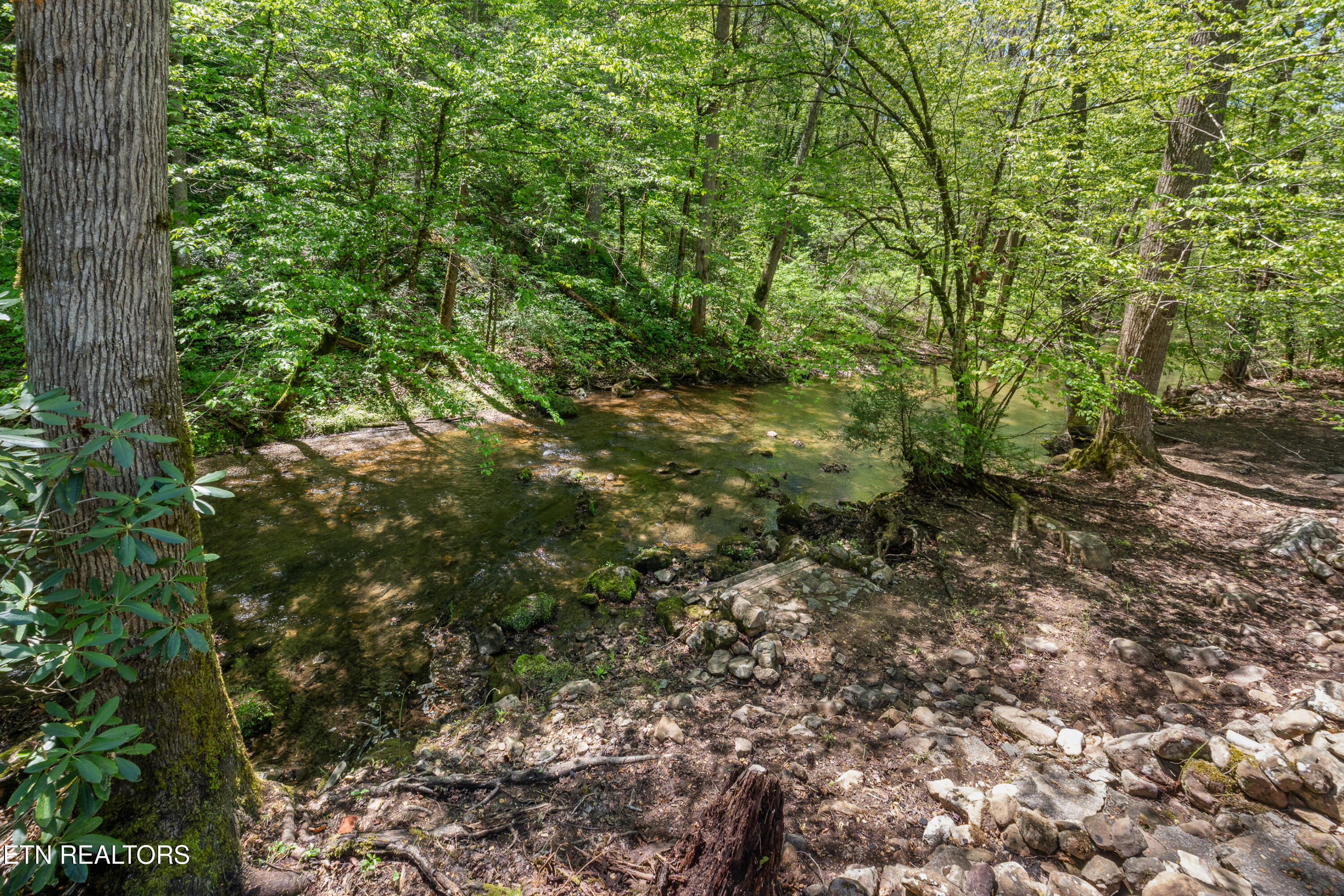 1256 East Millers Cove Road Walland, TN 37886 - Photo 42 of 43 DSC02080