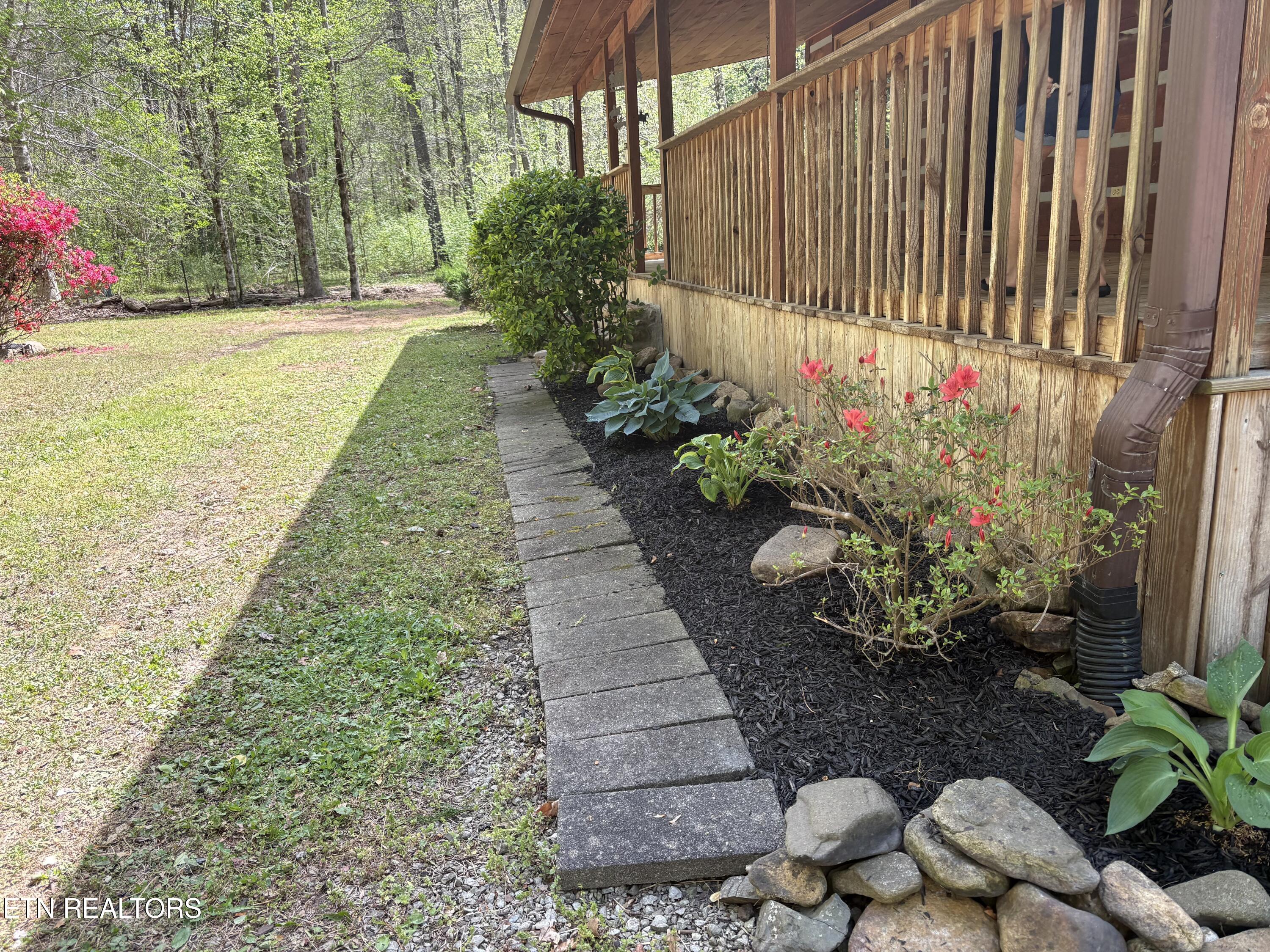 1256 East Millers Cove Road Walland, TN 37886 - Photo 6 of 43 IMG_8251