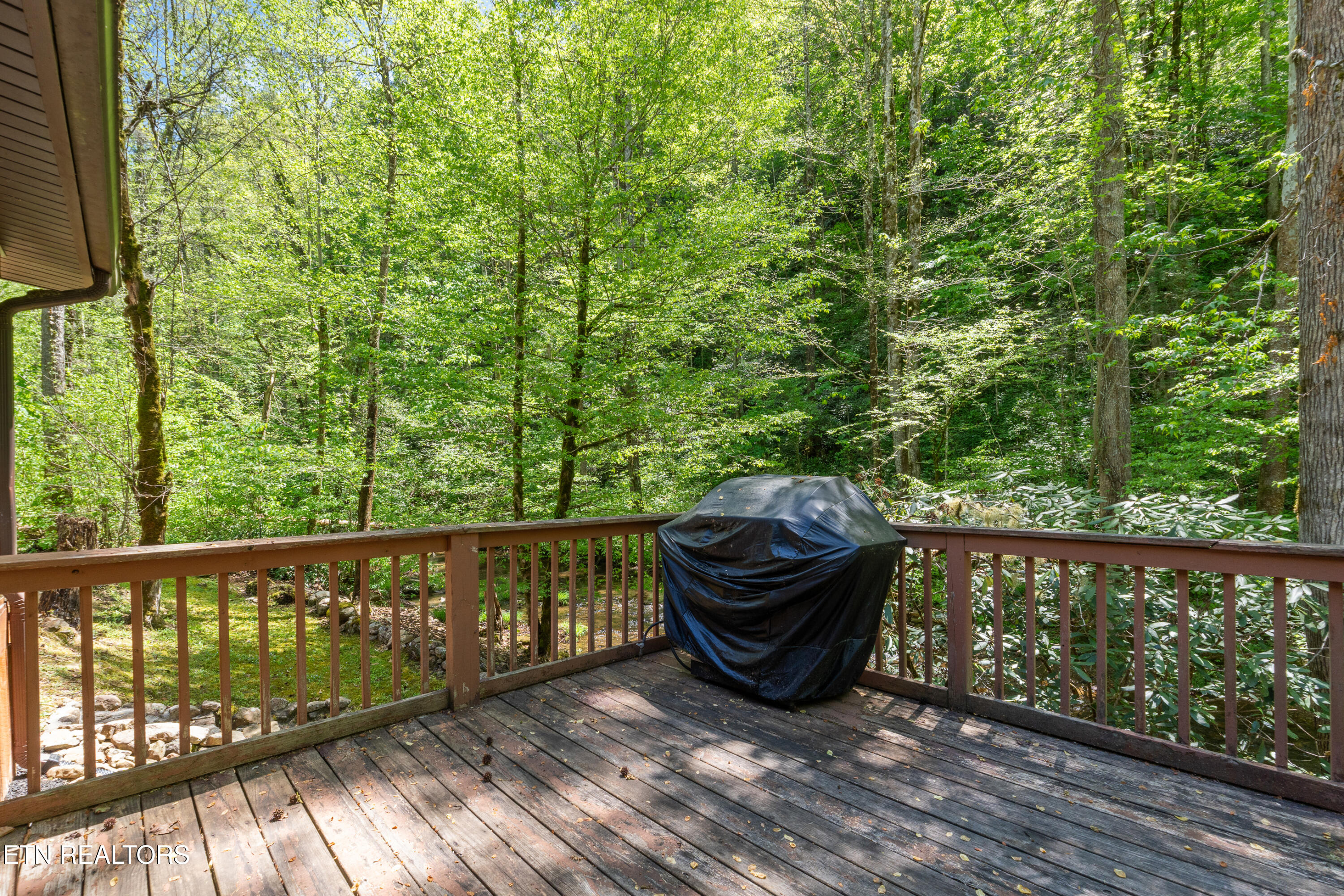 1256 East Millers Cove Road Walland, TN 37886 - Photo 7 of 43 DSC02075