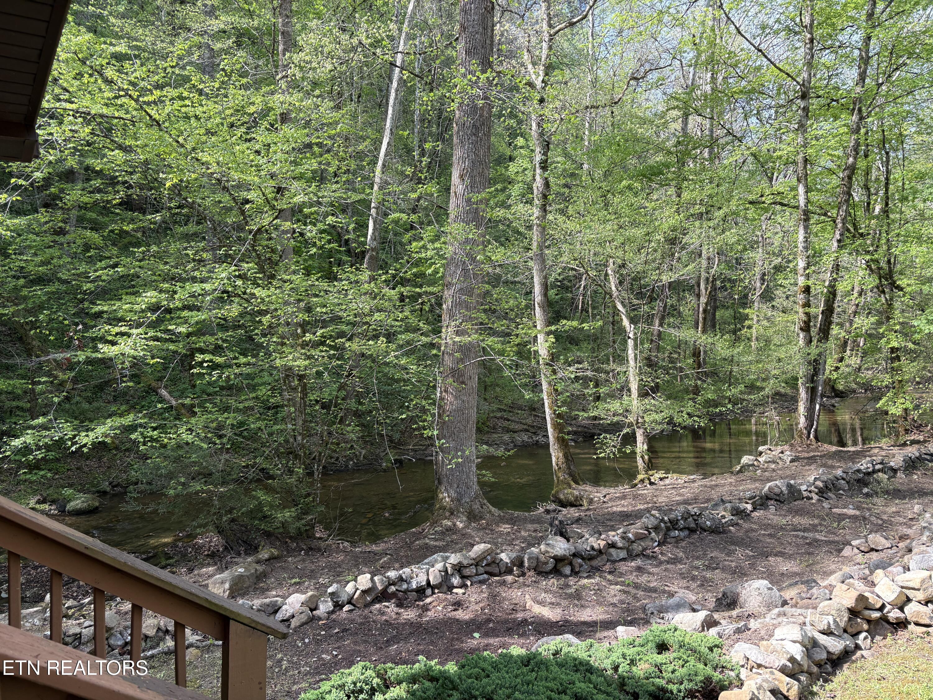 1256 East Millers Cove Road Walland, TN 37886 - Photo 8 of 43 IMG_8233