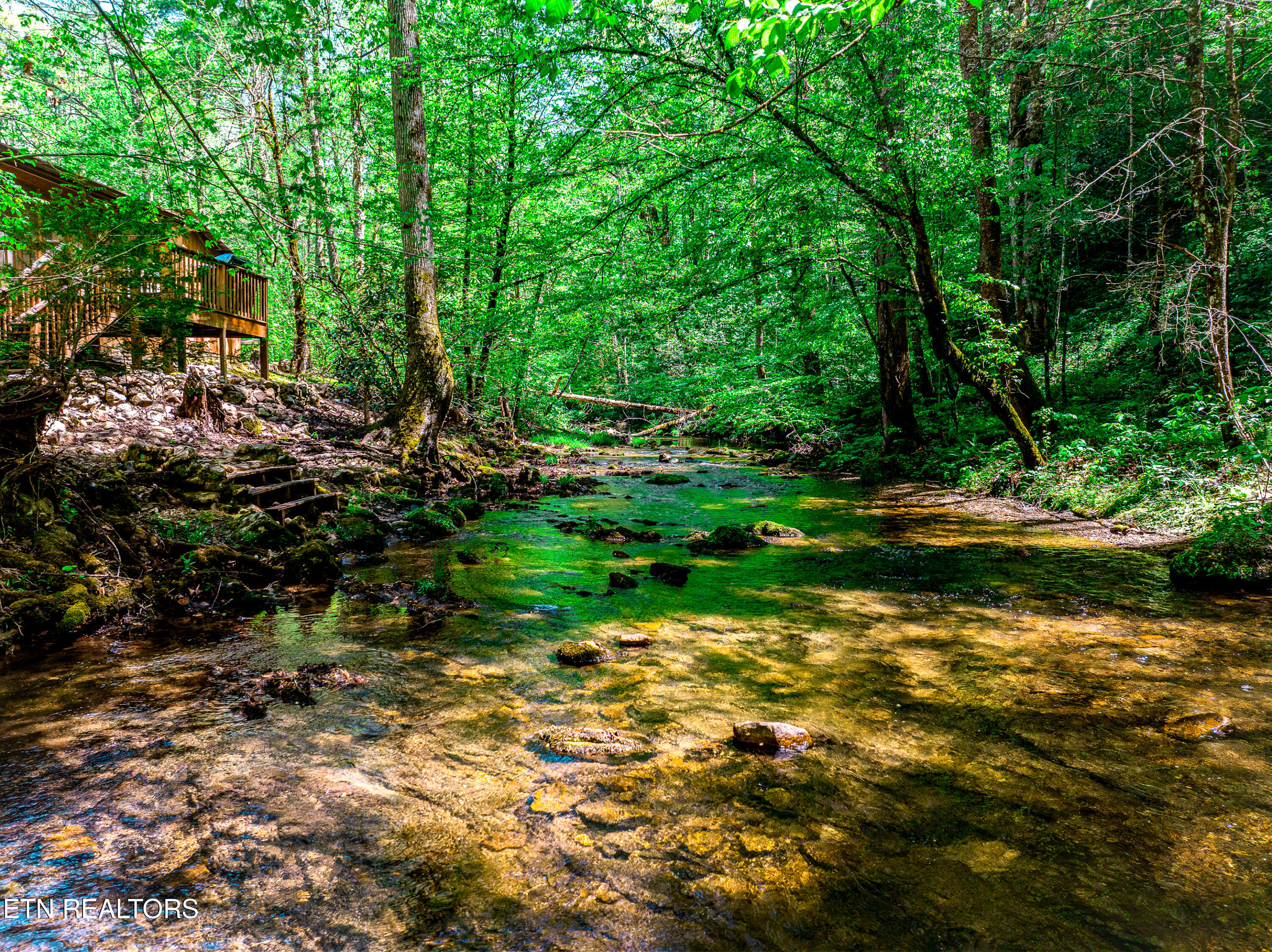 1256 East Millers Cove Road Walland, TN 37886 - Photo 9 of 43 DJI_0698