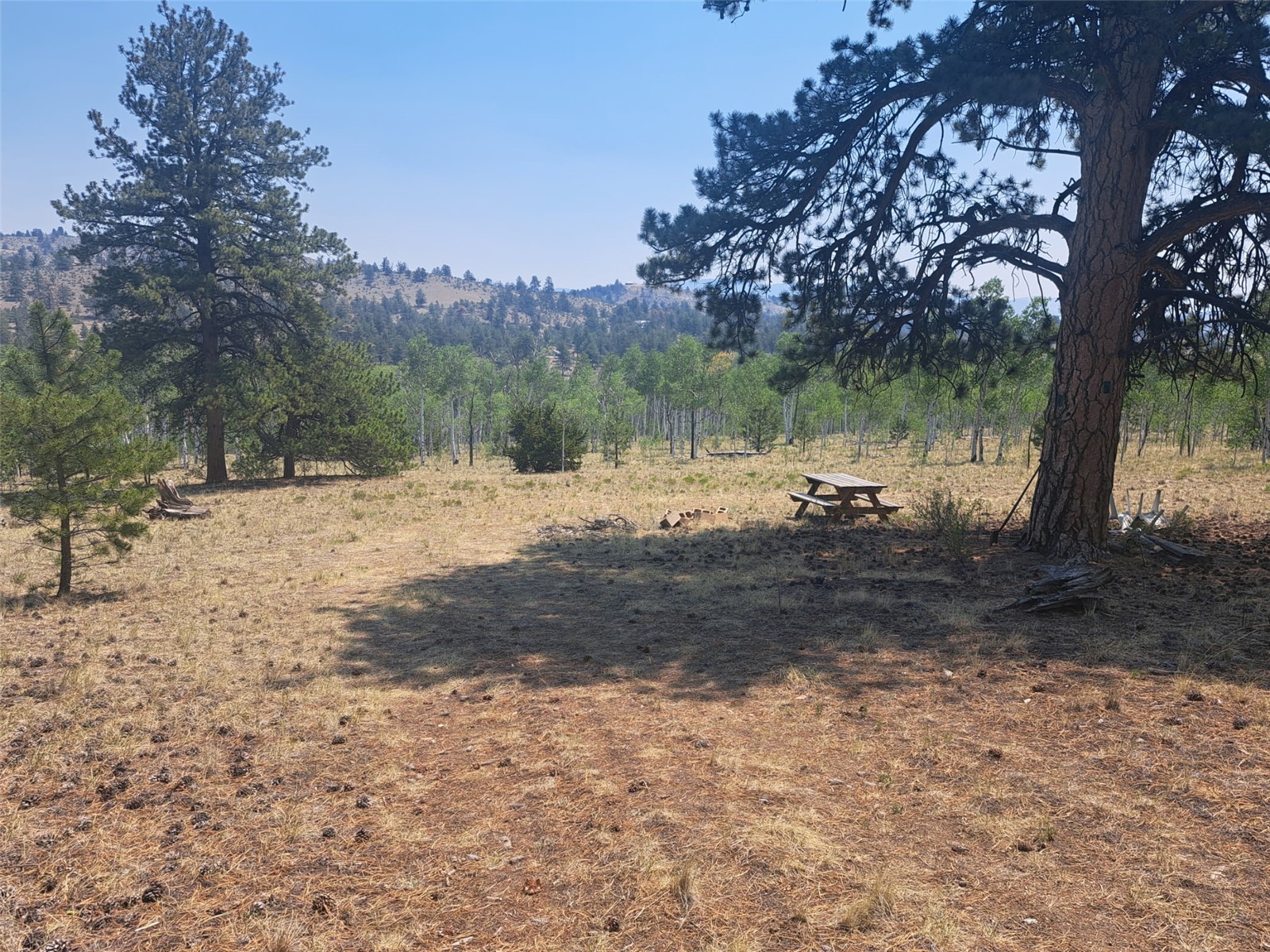 2338 Fitzsimmons Road Hartsel, CO 80449 - Photo 28 of 32
