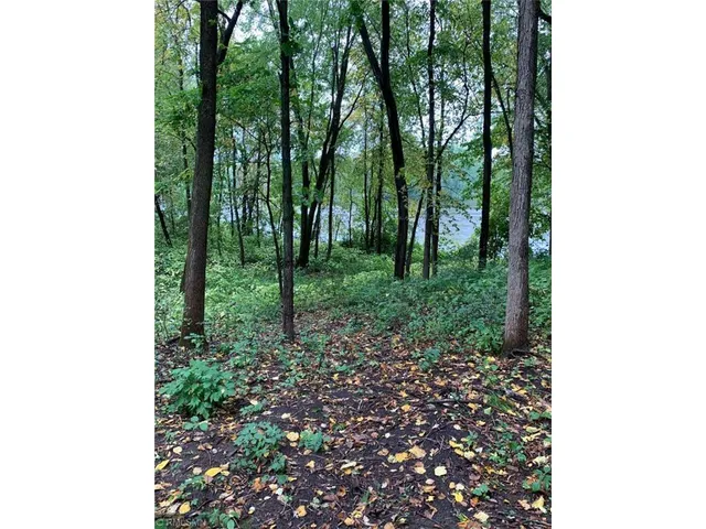 $149,900 | Tbd Shoreline Drive, Little Falls, MN 56345