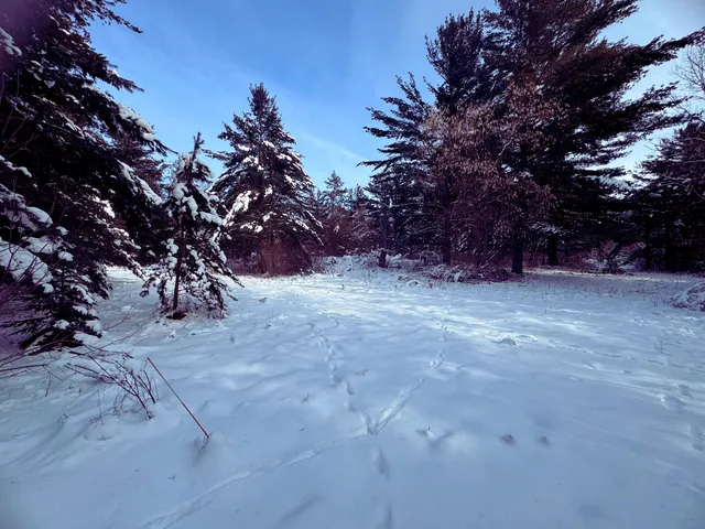 $149,900 | Tbd Shoreline Drive, Little Falls, MN 56345