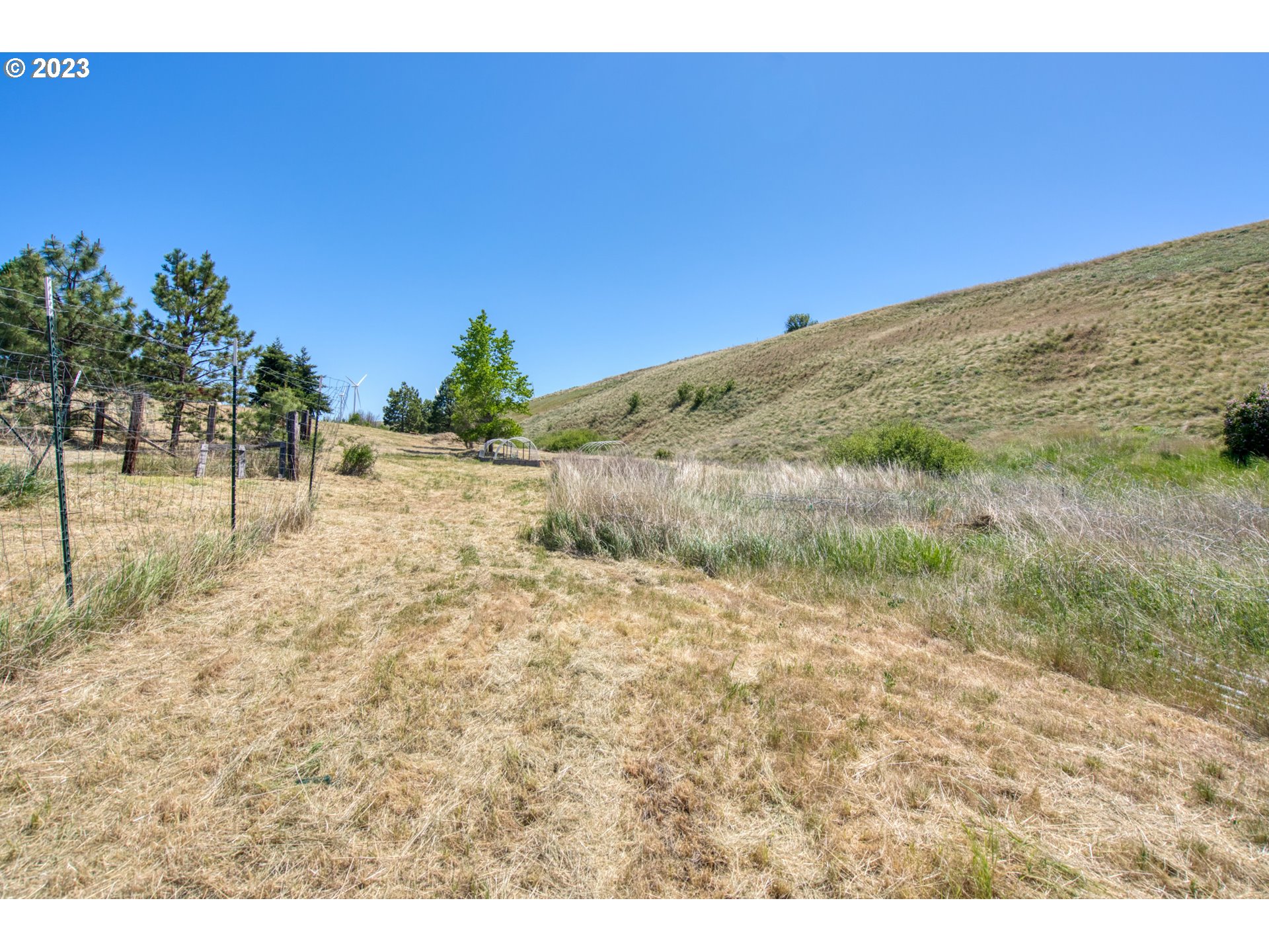 701 Dooley Road Centerville, WA 98613 - Photo 12 of 27 a view of a yard