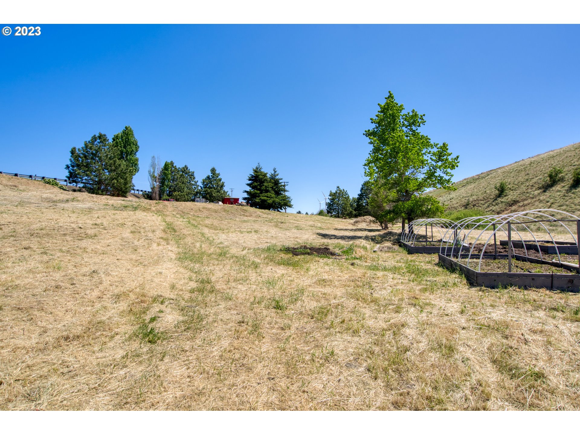 701 Dooley Road Centerville, WA 98613 - Photo 13 of 27 a view of a yard with a tree