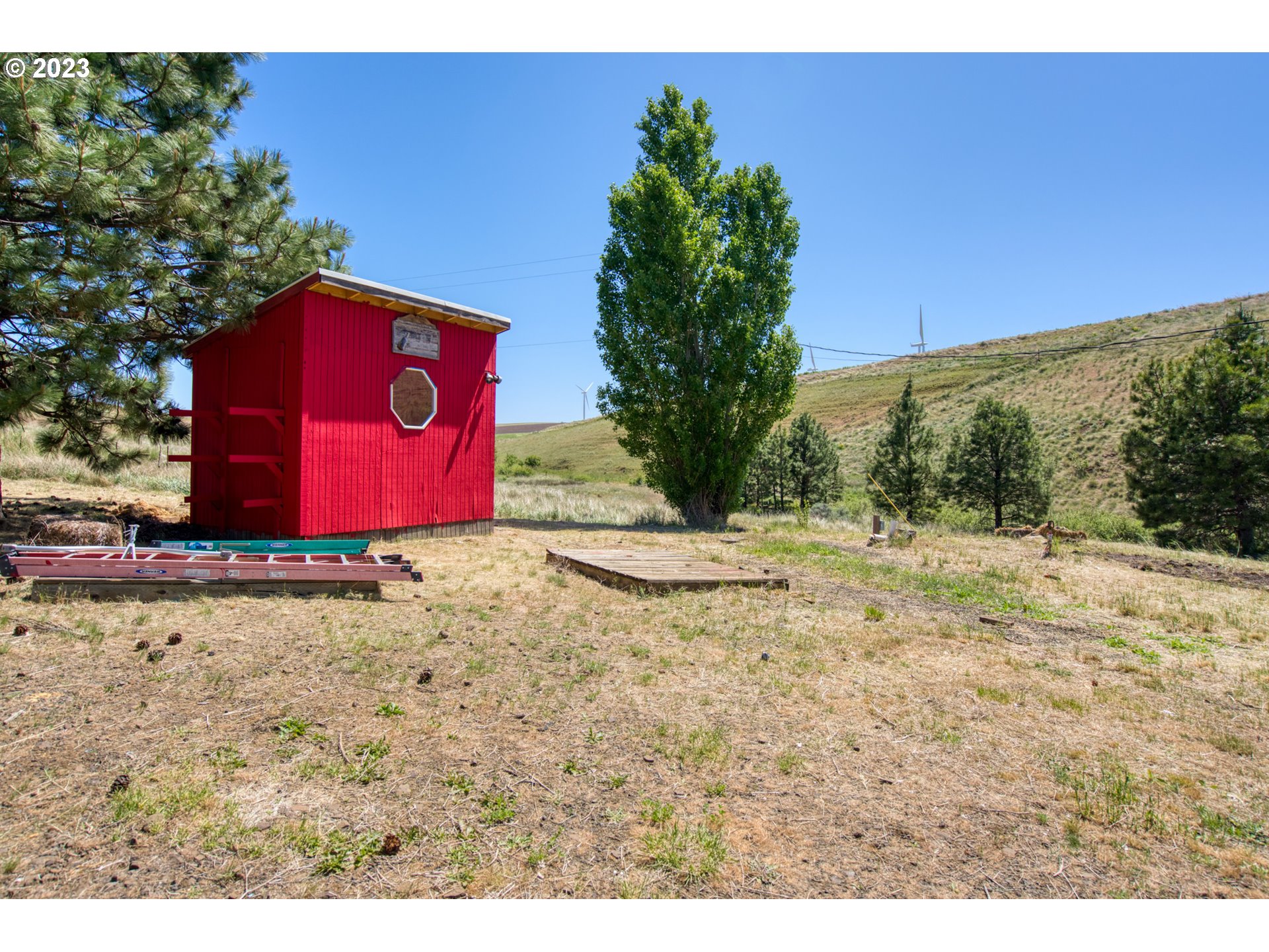 701 Dooley Road Centerville, WA 98613 - Photo 14 of 27 a view of a yard with a tree