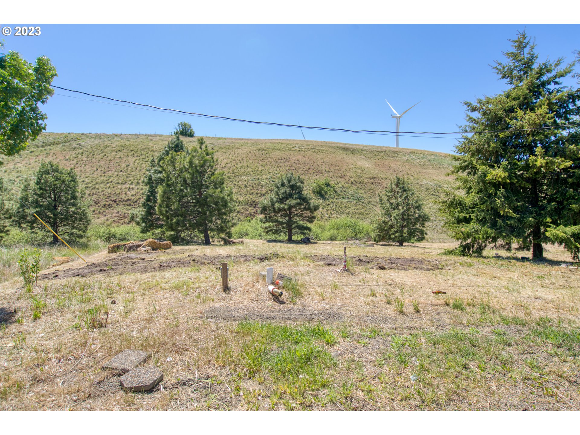 701 Dooley Road Centerville, WA 98613 - Photo 17 of 27 a view of outdoor space and yard