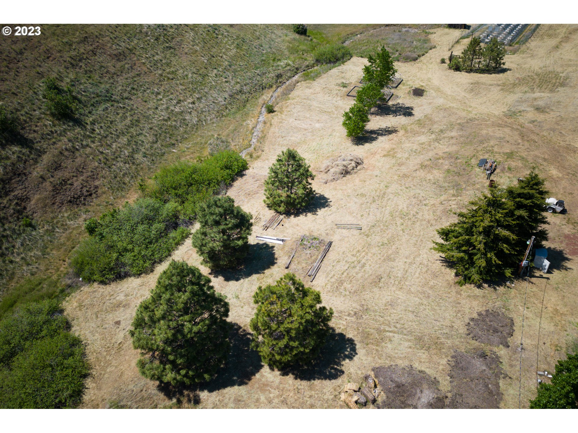 701 Dooley Road Centerville, WA 98613 - Photo 23 of 27 a view of a tree with a yard