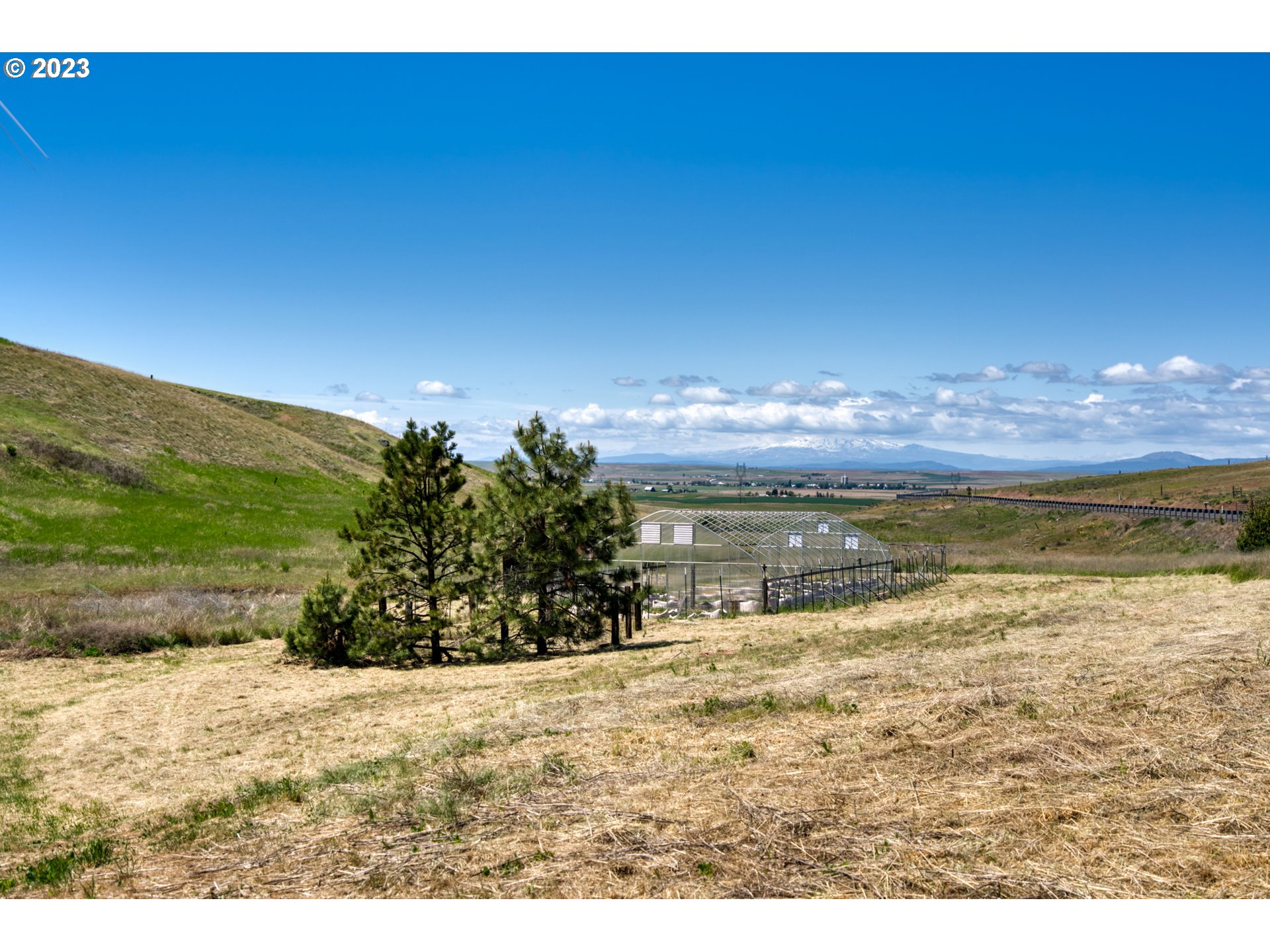 701 Dooley Road Centerville, WA 98613 - Photo 4 of 27 a view of an ocean from a yard