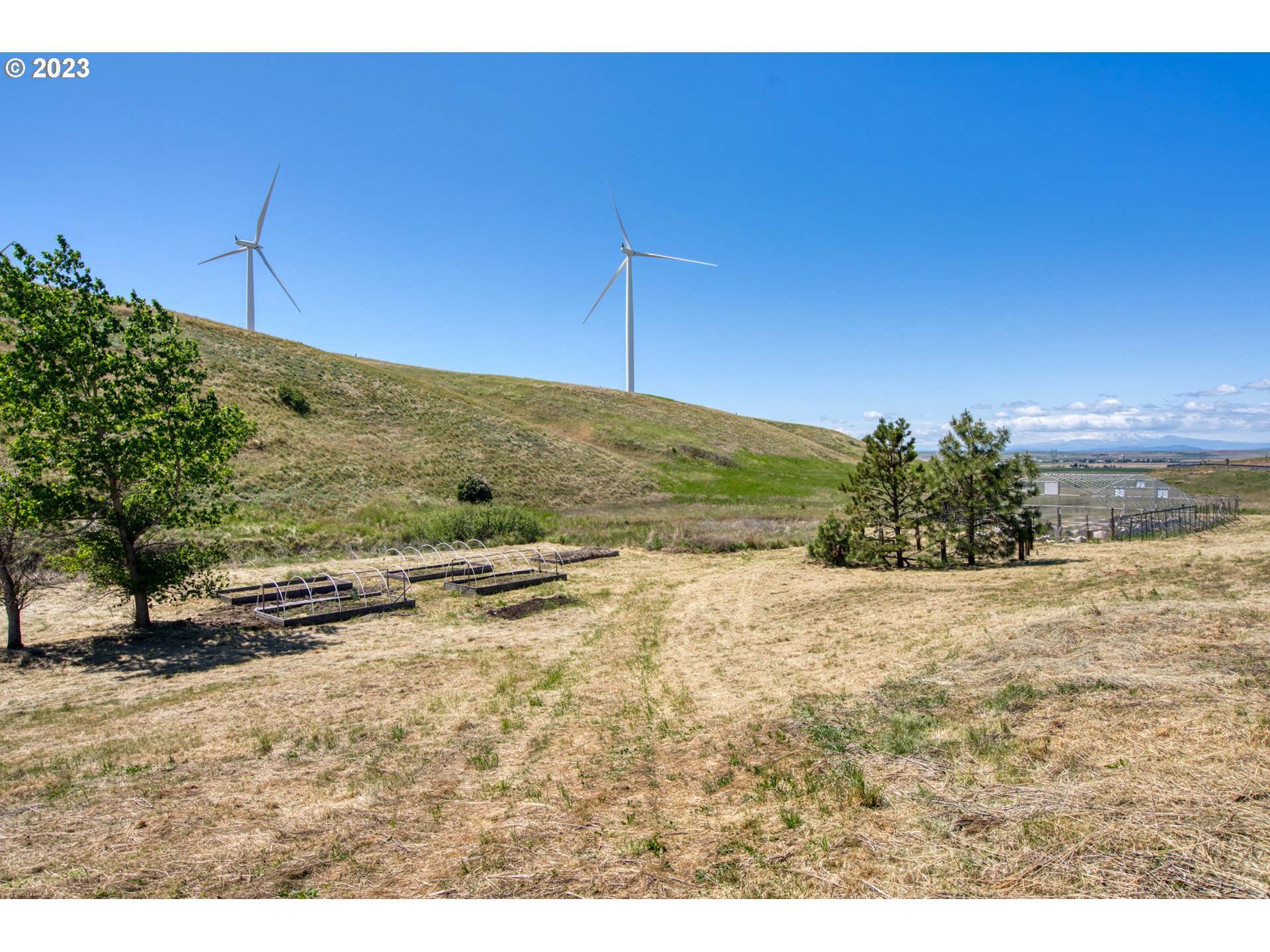 701 Dooley Road Centerville, WA 98613 - Photo 6 of 27 a view of a field with an ocean