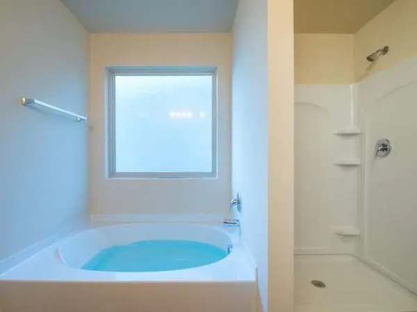 $2,800 | 1494 Townsend Court, Hampton, GA 30228