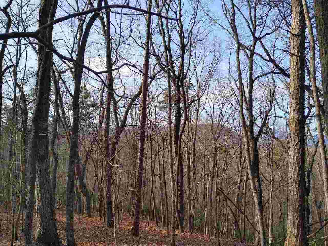 0 Sautee Ridge Road, Unit 1 2 3 4 5 6 Clarkesville, GA 30523 - Photo 1 of 1 Gallery Image 1