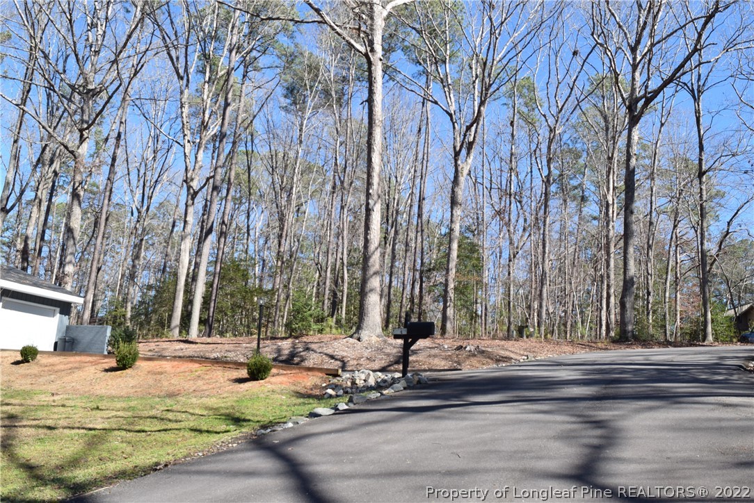 0 Rye Road Sanford, NC 27332 - Photo 12 of 17 Gallery Image 12