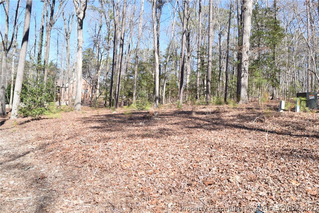 0 Rye Road Sanford, NC 27332 - Photo 13 of 17 Gallery Image 13