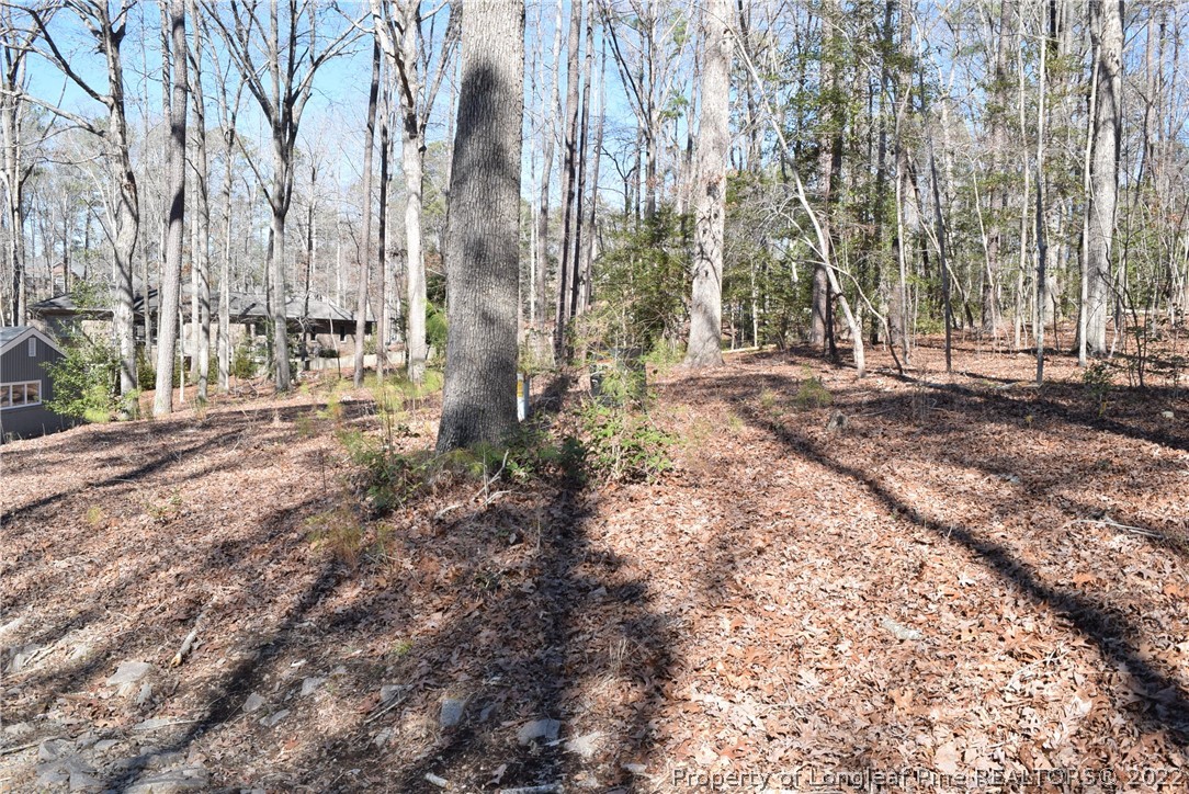 0 Rye Road Sanford, NC 27332 - Photo 14 of 17 Gallery Image 14
