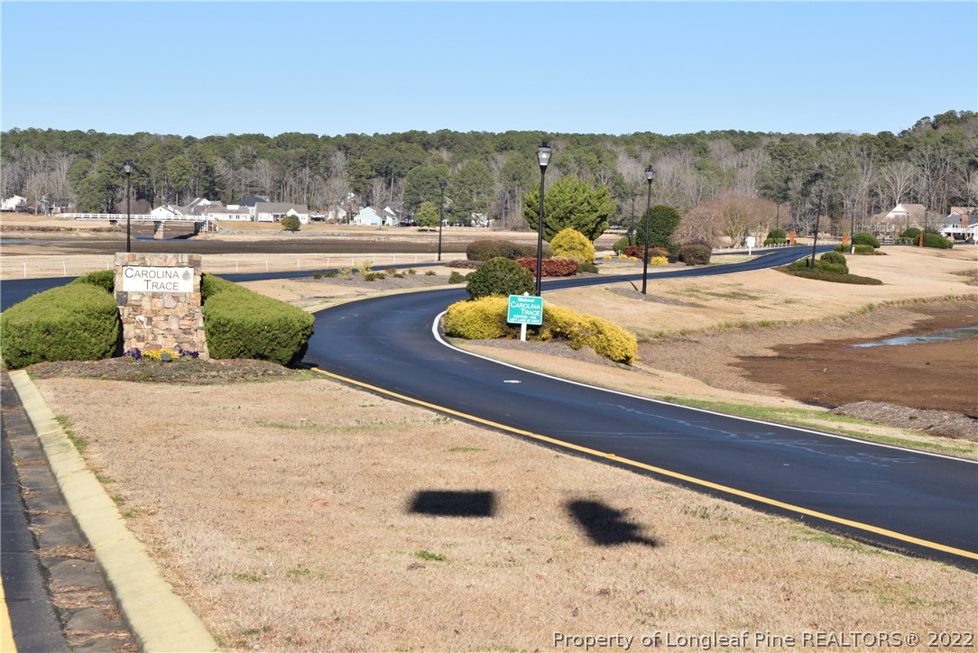 0 Rye Road Sanford, NC 27332 - Photo 4 of 17 Gallery Image 4
