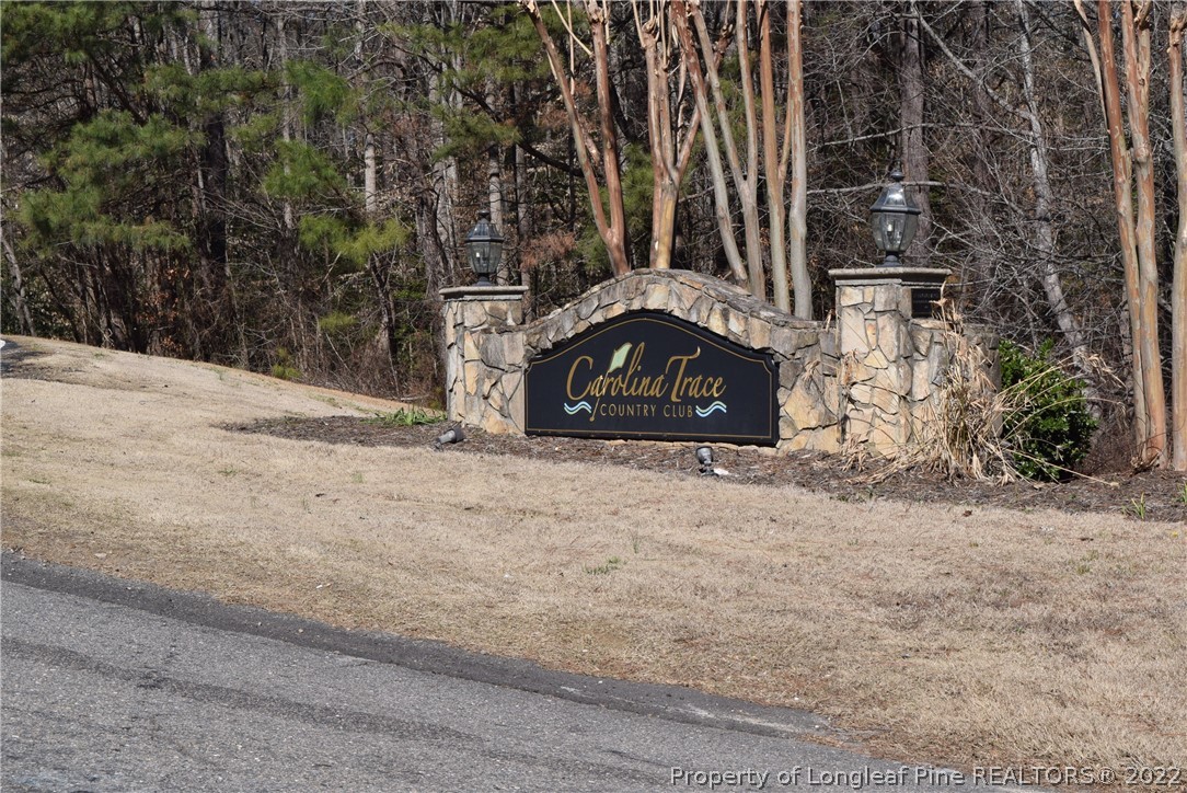 0 Rye Road Sanford, NC 27332 - Photo 5 of 17 Gallery Image 5