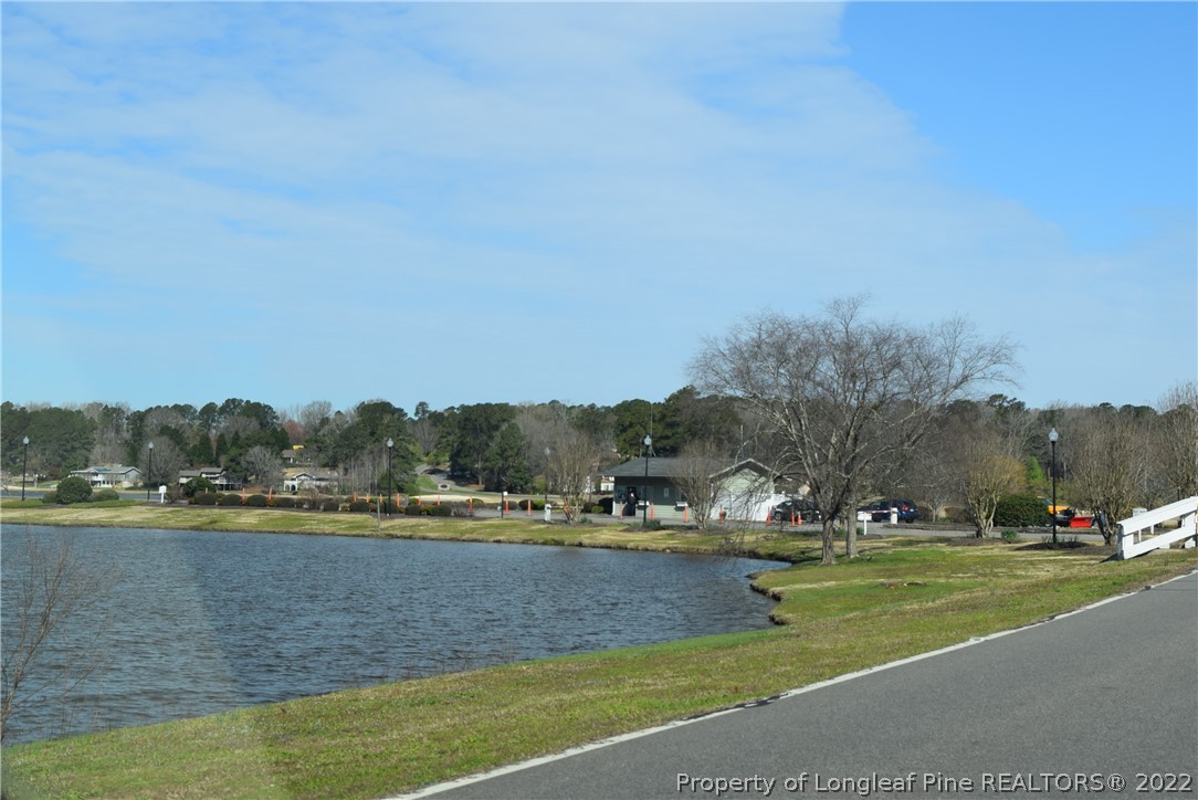 0 Rye Road Sanford, NC 27332 - Photo 8 of 17 Gallery Image 8