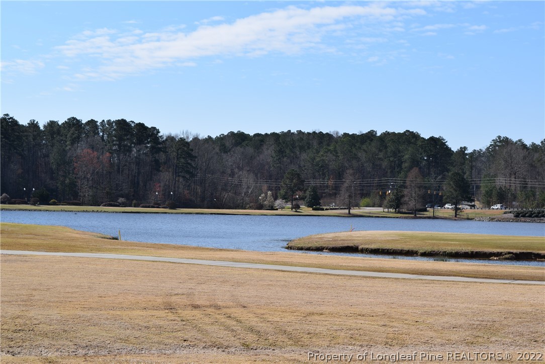 0 Rye Road Sanford, NC 27332 - Photo 9 of 17 Gallery Image 9