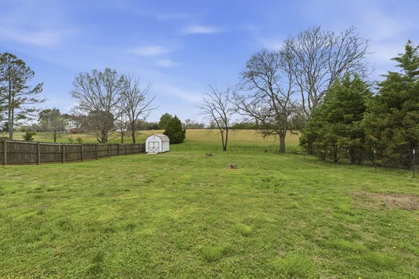 a view of a field with of trees