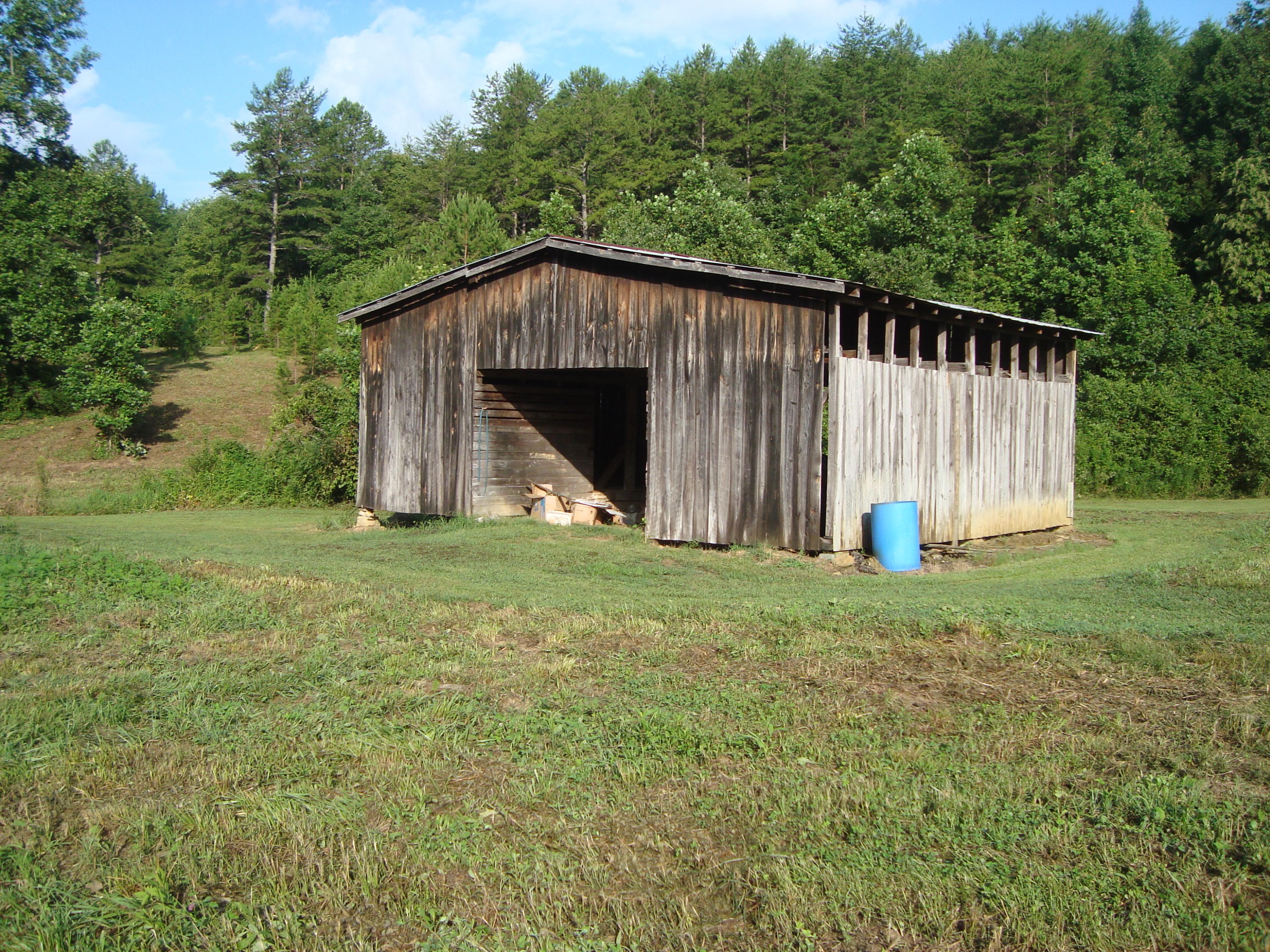 1830 Reliance Road Tellico Plains, TN 37385 - Photo 11 of 32 DSC07097