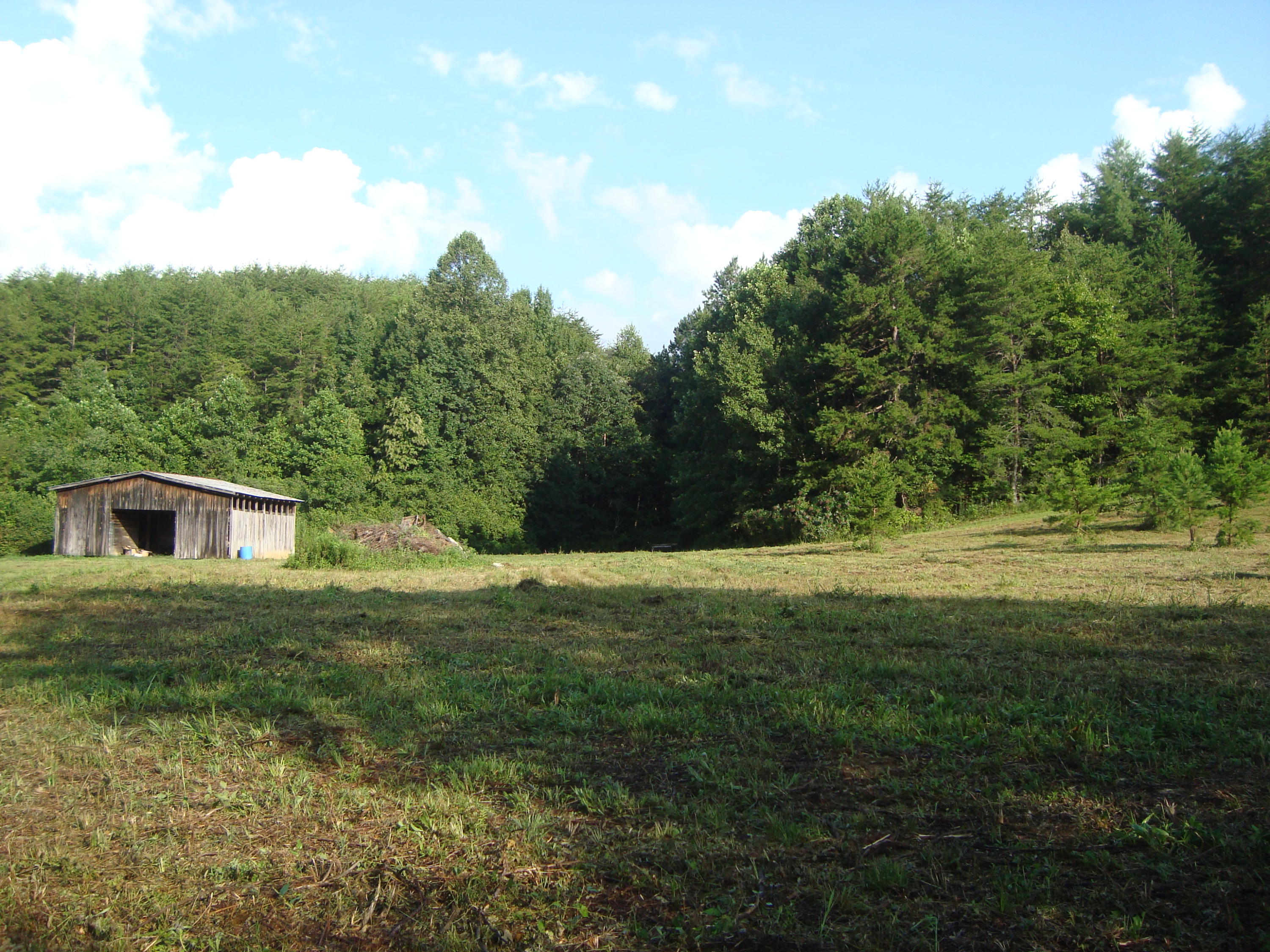 1830 Reliance Road Tellico Plains, TN 37385 - Photo 13 of 32 DSC07100