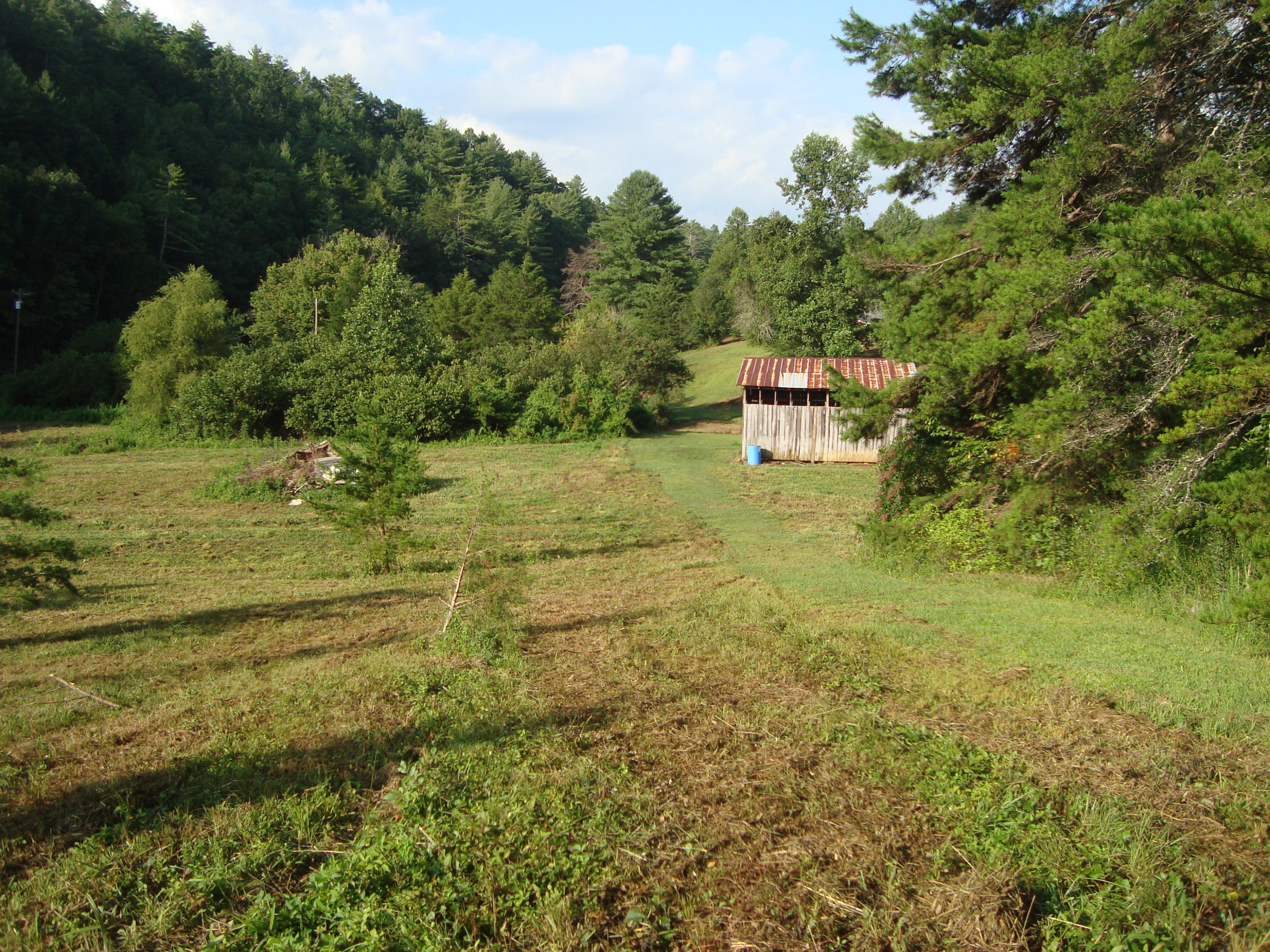 1830 Reliance Road Tellico Plains, TN 37385 - Photo 14 of 32 DSC07098