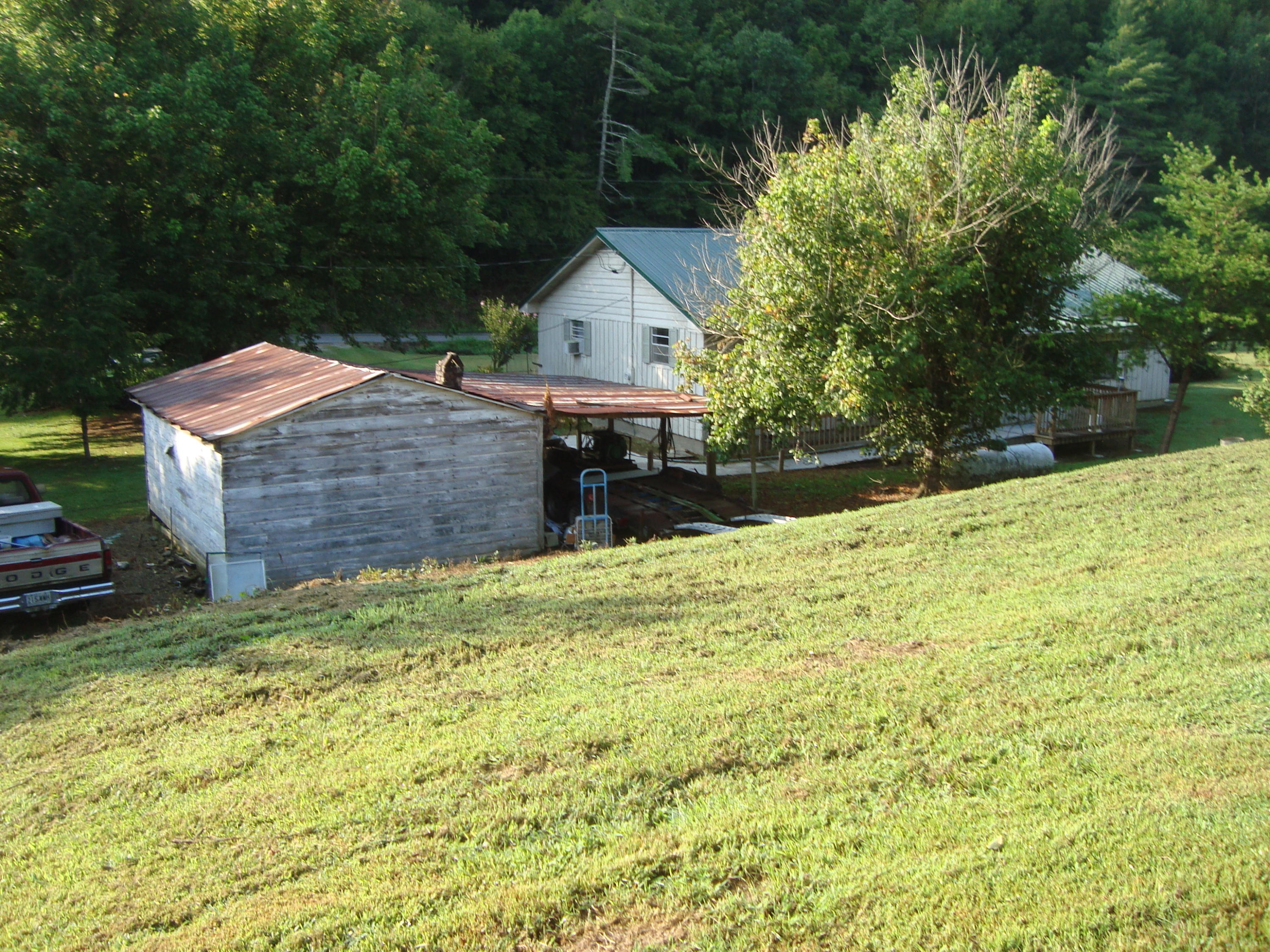 1830 Reliance Road Tellico Plains, TN 37385 - Photo 6 of 32 DSC07093