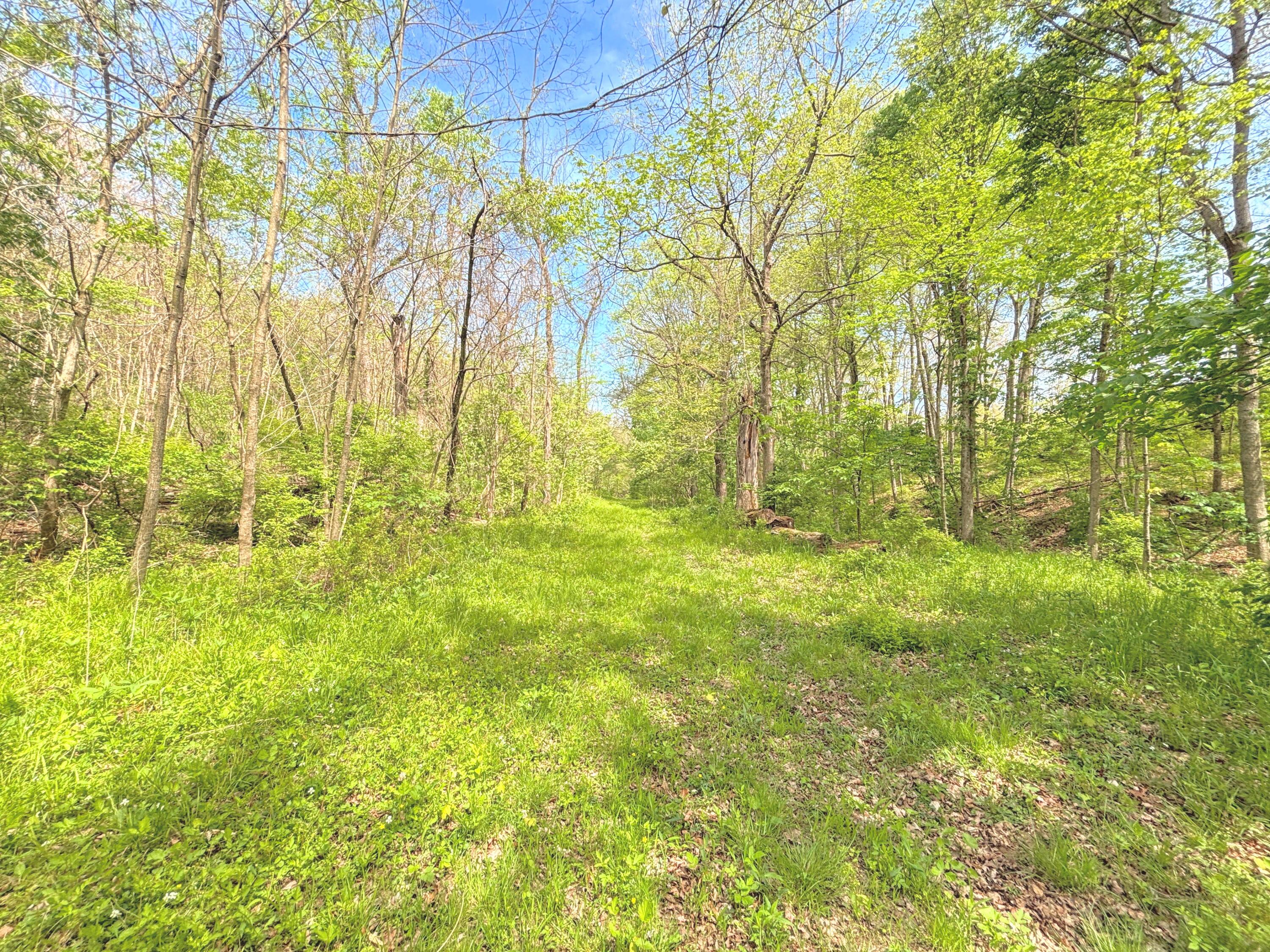 1021 Jones Road Walton, KY 41094 - Photo 9 of 50
