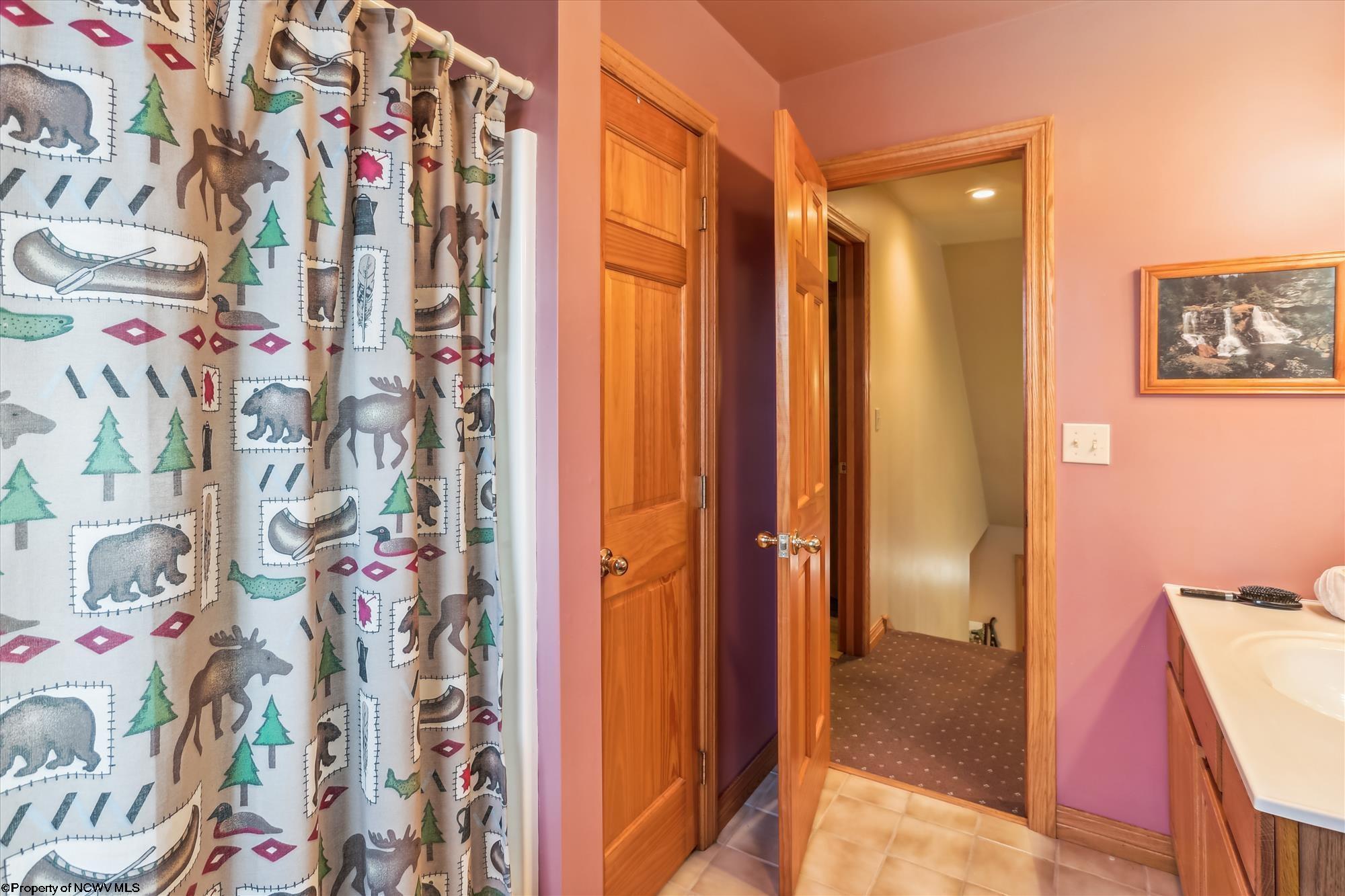 1951 Cabin Mountain Road Davis, WV 26260 - Photo 21 of 40 Gallery Image 21