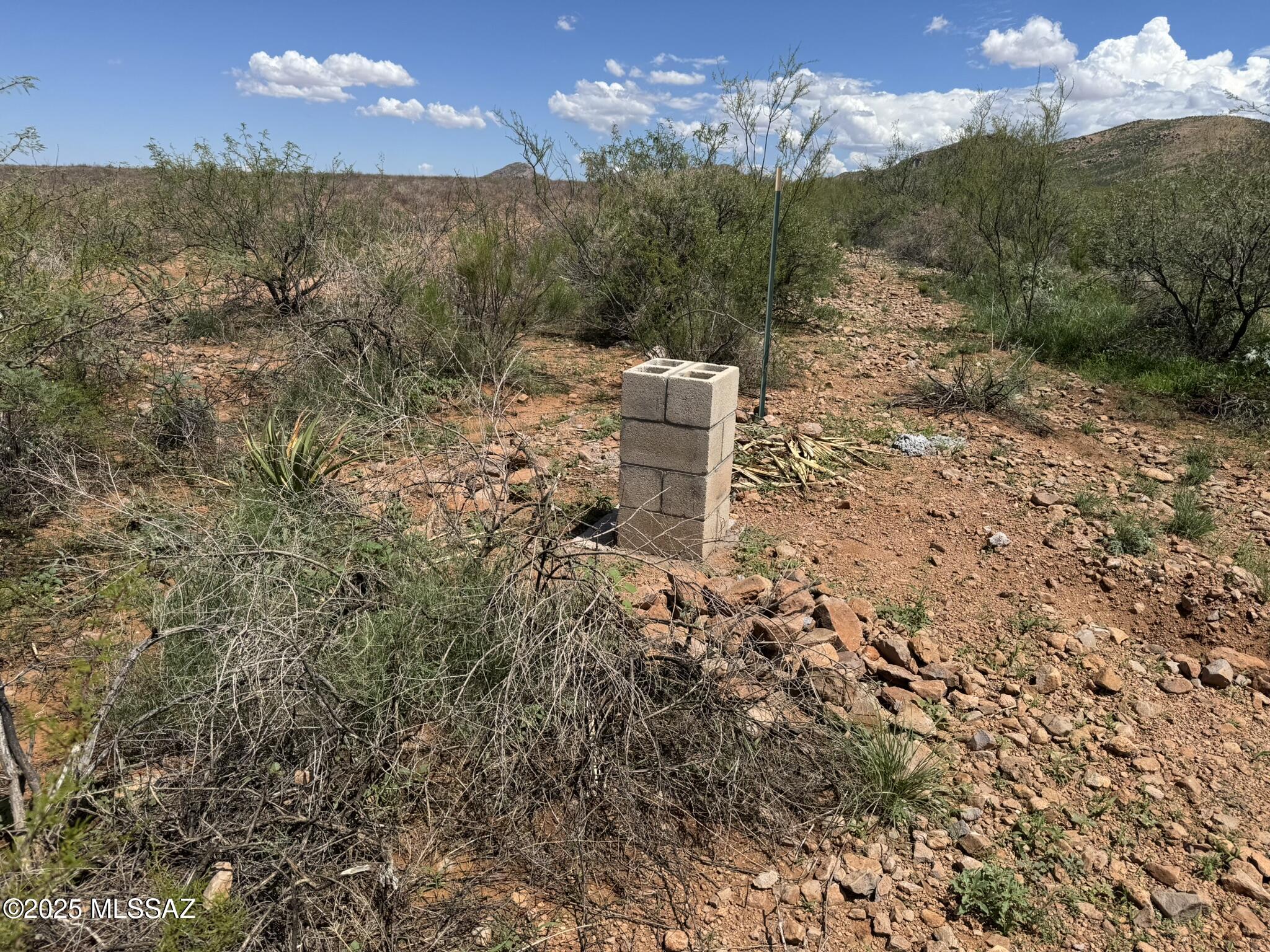 40-acres East Get Lost Road Douglas, AZ 85607 - Photo 24 of 28