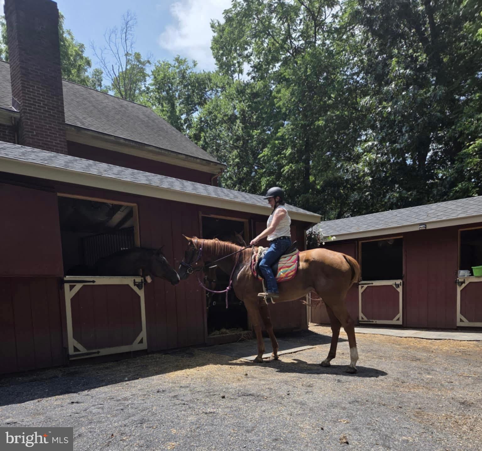 8487 Botha Road Warrenton, VA 20186 - Photo 3 of 6 3 SHED ROW BARNS WITH 6 STALLS
