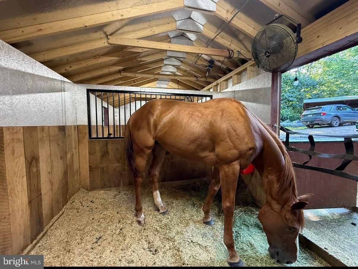 8487 Botha Road Warrenton, VA 20186 - Photo 4 of 6 STALLS WITH FANS, ELECTRIC & LIGHTING