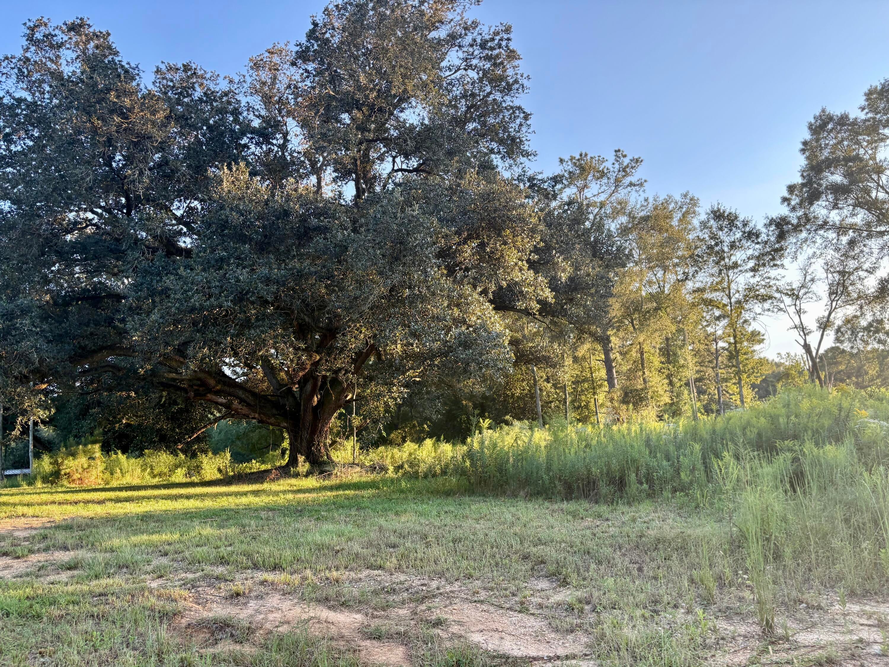 0 Sawmill Road Sandy Hook, MS 39478 - Photo 17 of 17 Gallery Image 17