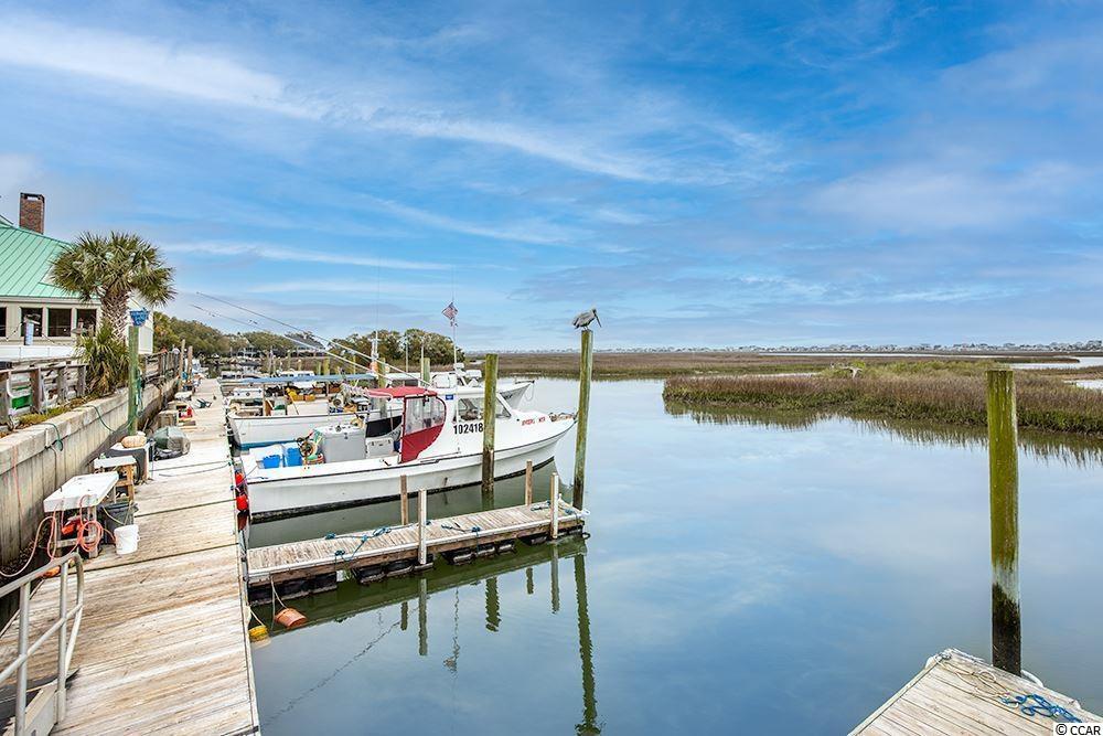 22 Musket Street Murrells Inlet, SC 29576 - Photo 28 of 29 Gallery Image 28