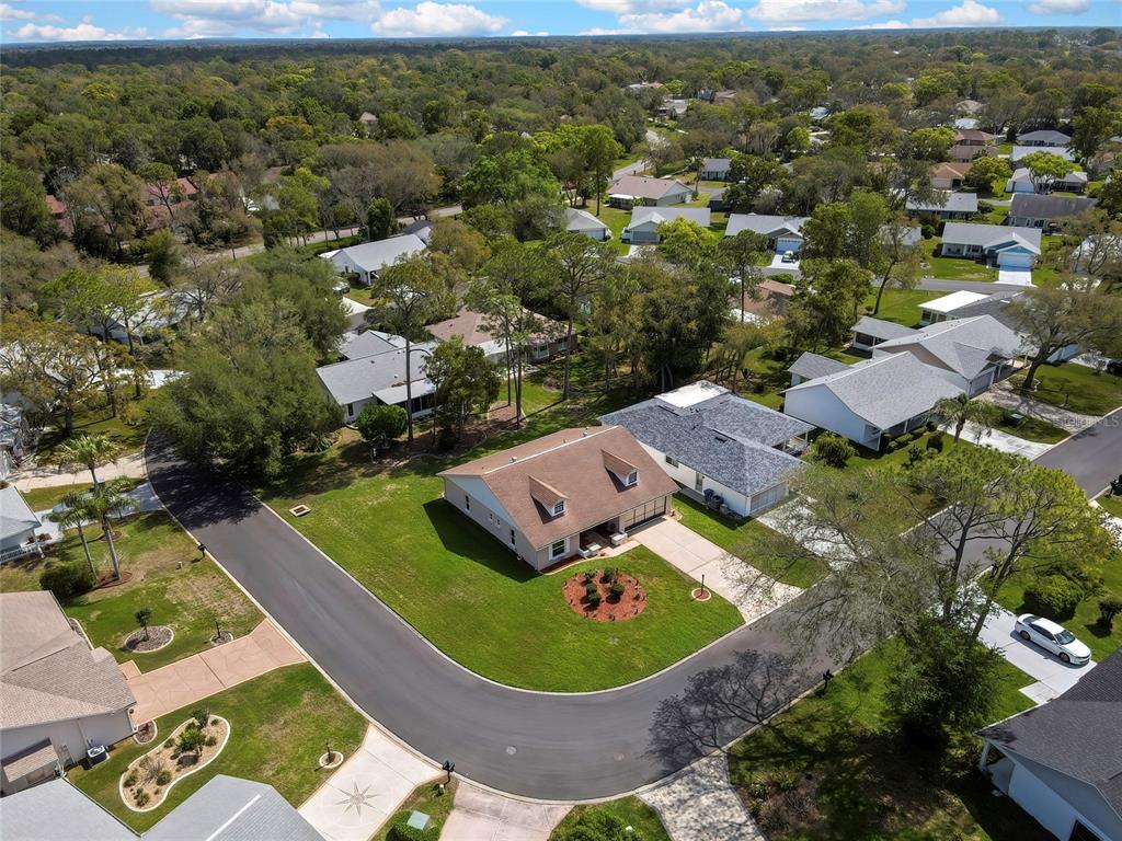 6433 Lost Tree Lane Spring Hill, FL 34606 - Photo 9 of 39