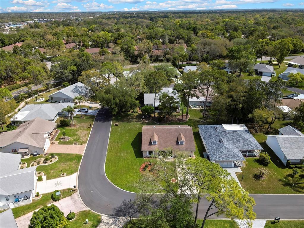 6433 Lost Tree Lane Spring Hill, FL 34606 - Photo 10 of 39