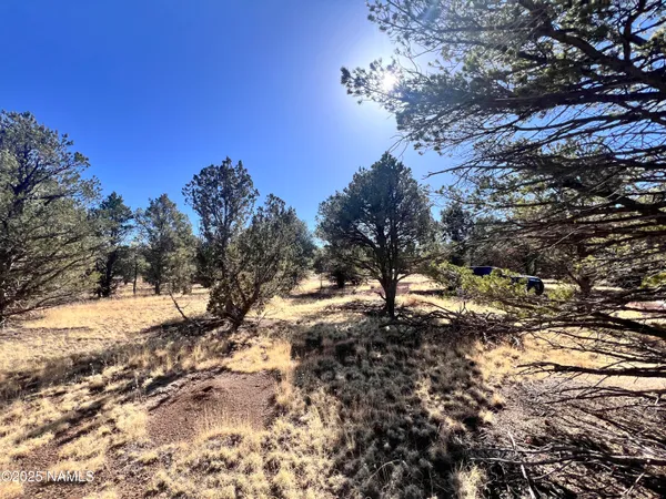 $94,500 | 7223 Daisy Drive, Williams, AZ 86046