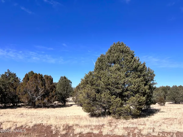 $94,500 | 7223 Daisy Drive, Williams, AZ 86046