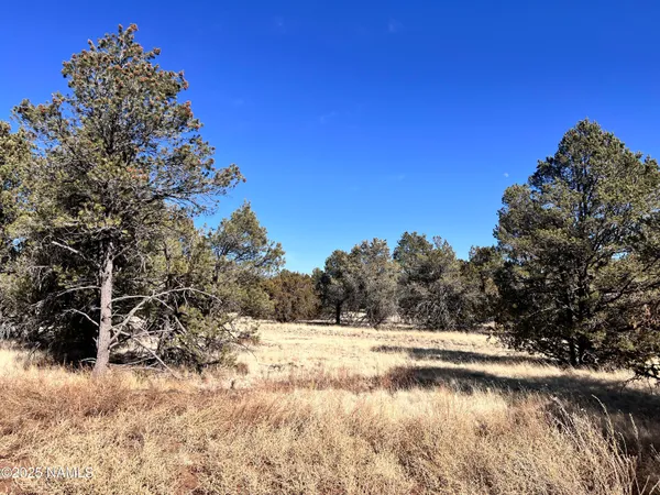 $94,500 | 7223 Daisy Drive, Williams, AZ 86046
