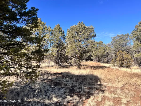 $94,500 | 7223 Daisy Drive, Williams, AZ 86046