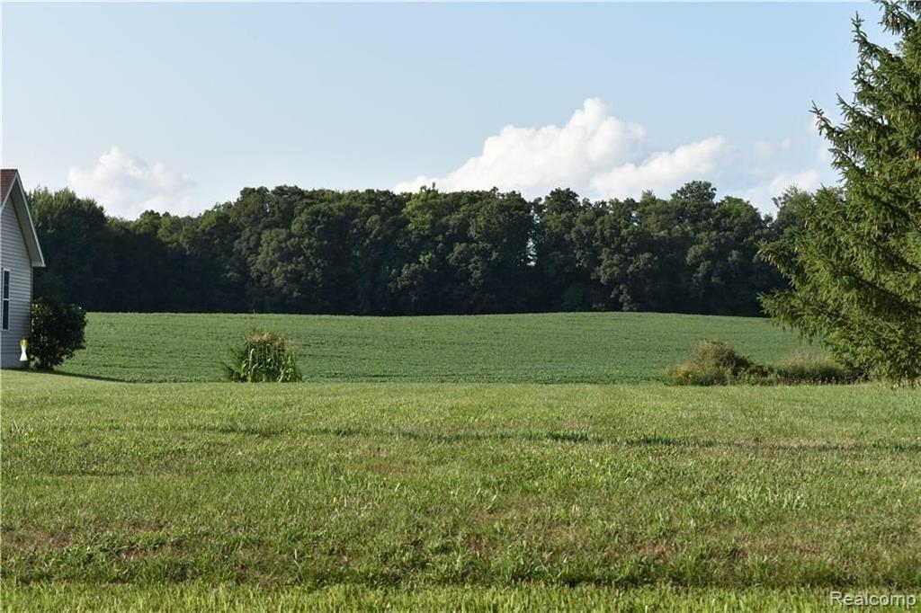 V/l East Coulter Road Lapeer, MI 48446 - Photo 2 of 5