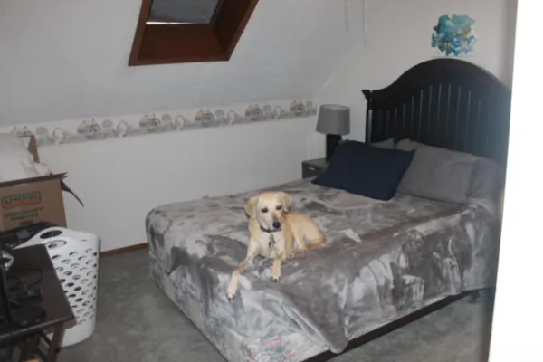 $275,000 | 111 Oak Turnagain Court, Glenwood, MN 56334